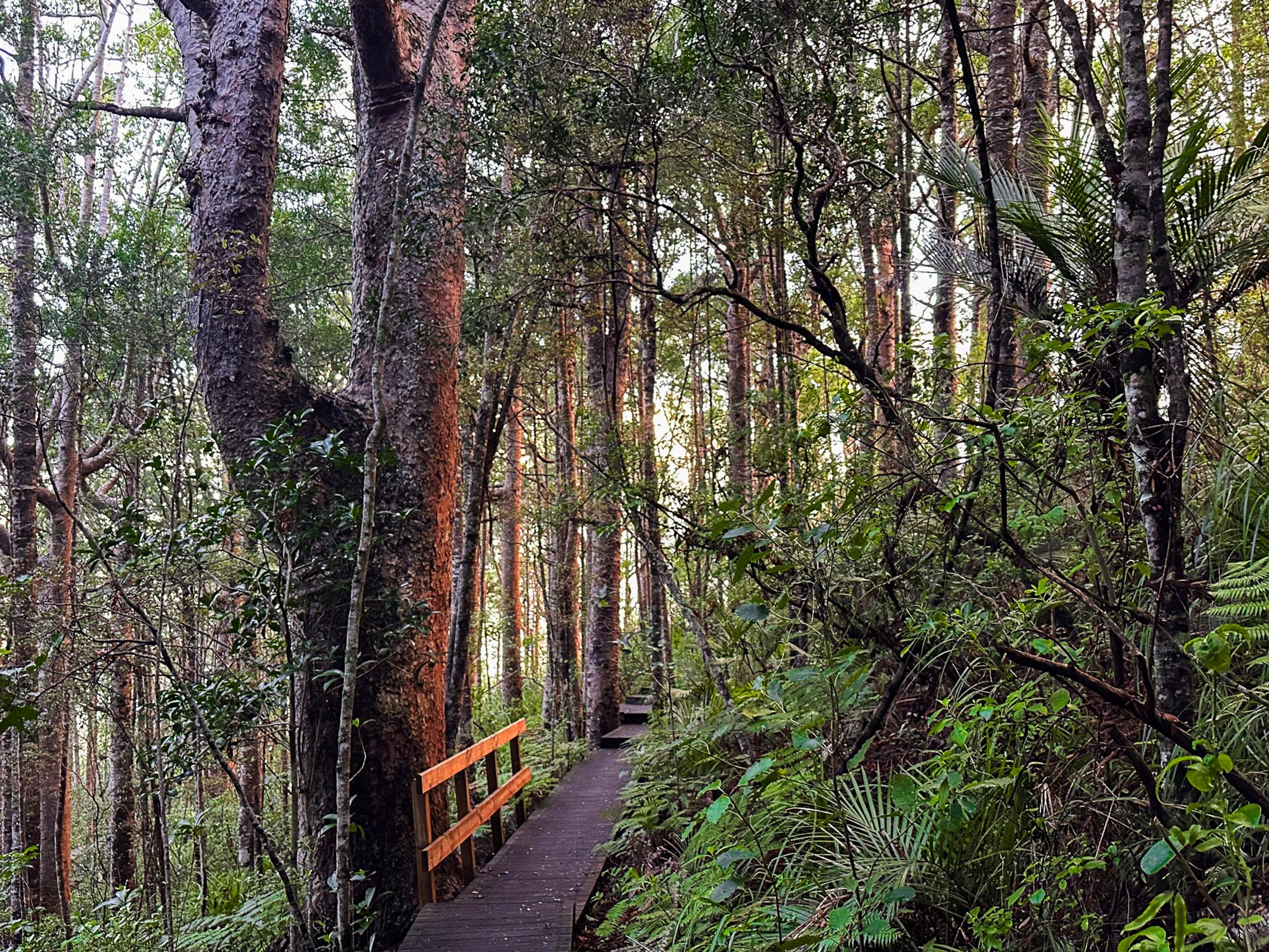 Image 9 of 10