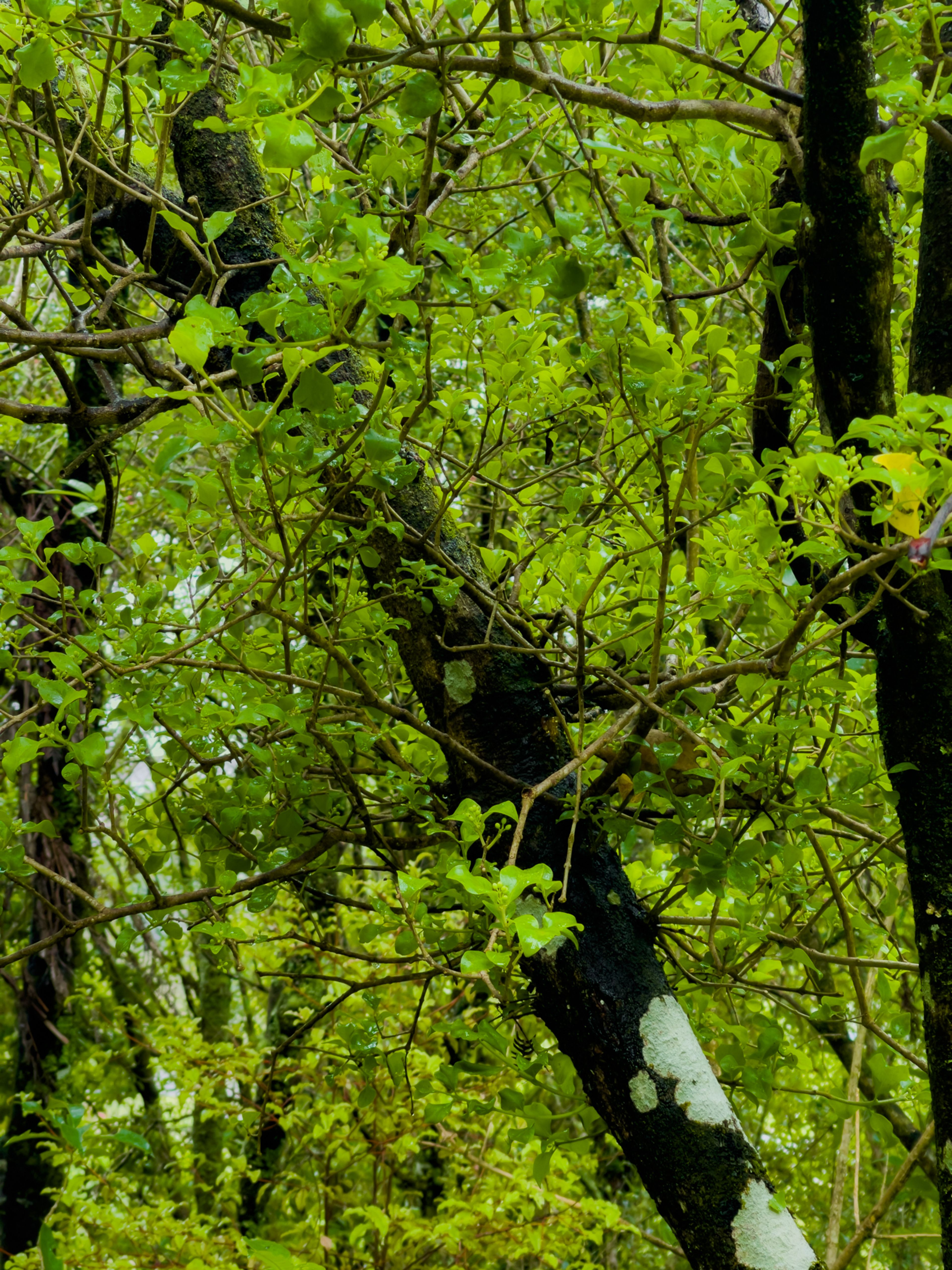 Image 5 of 9