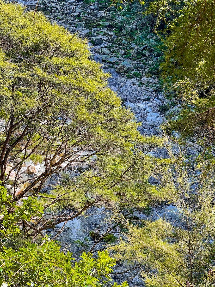 Image 8 of 10