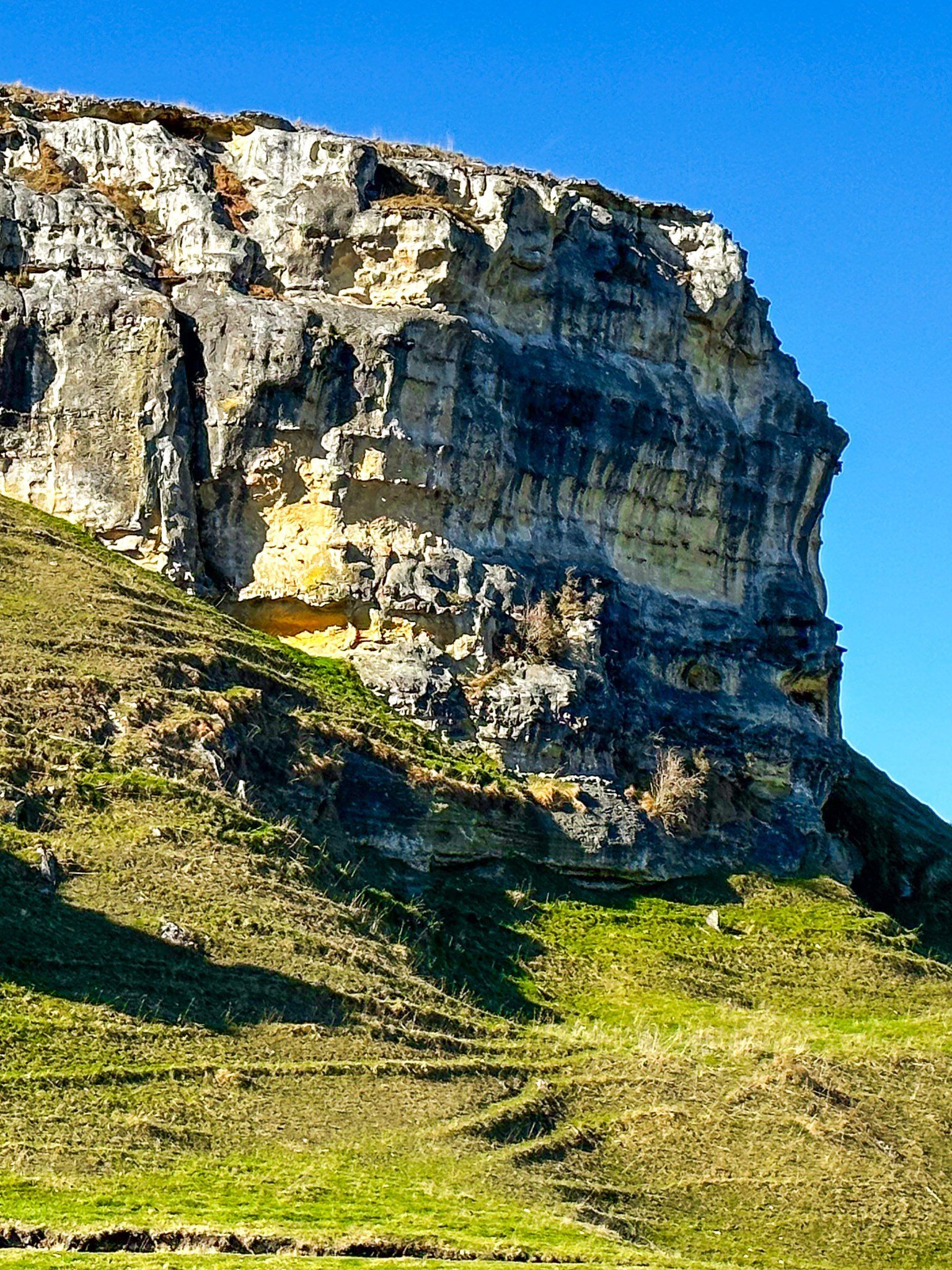 Image 9 of 9