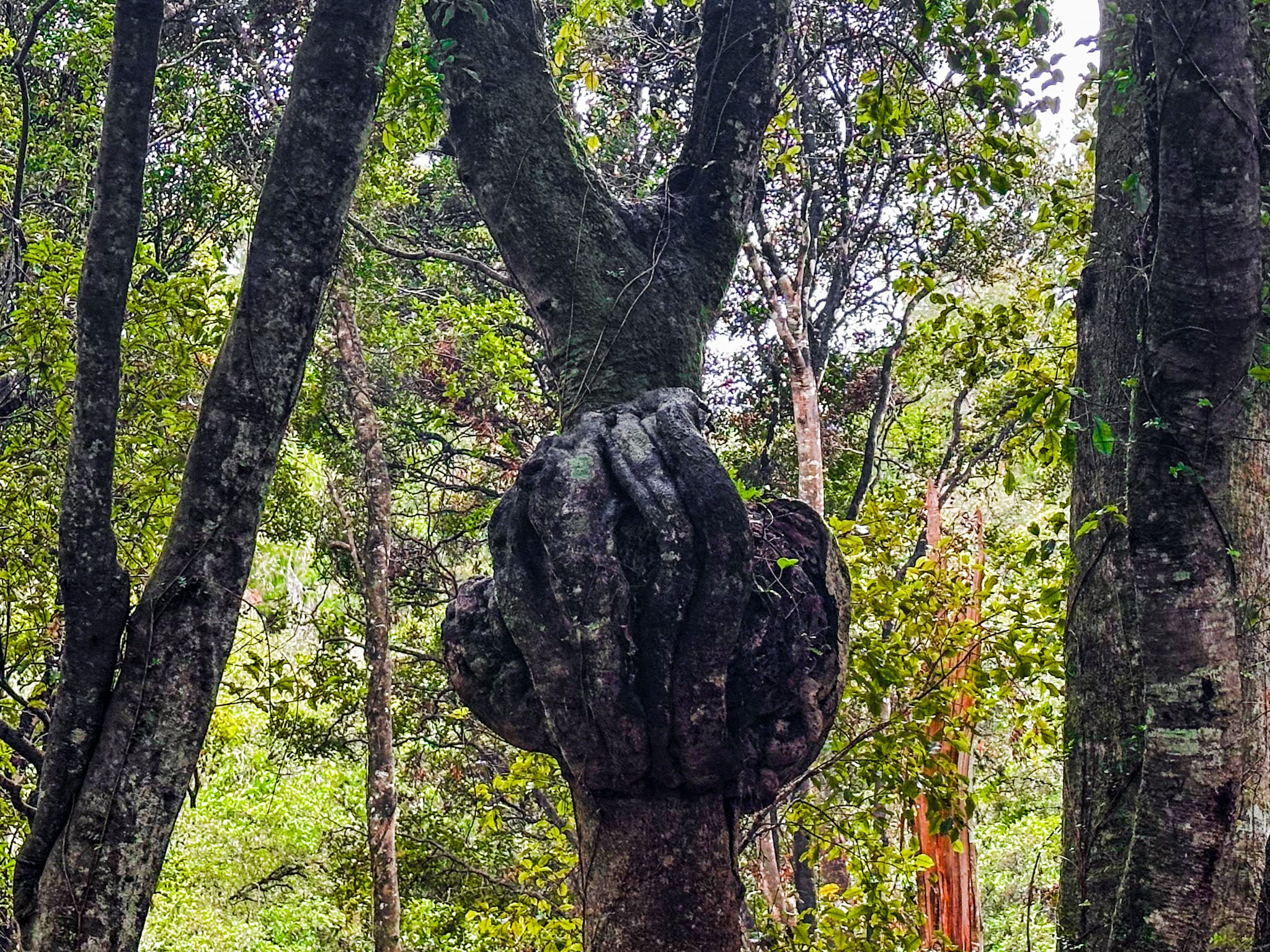 Image 8 of 10
