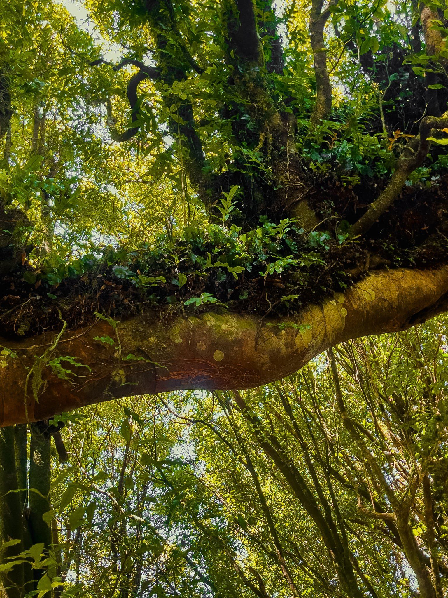 Image 9 of 9