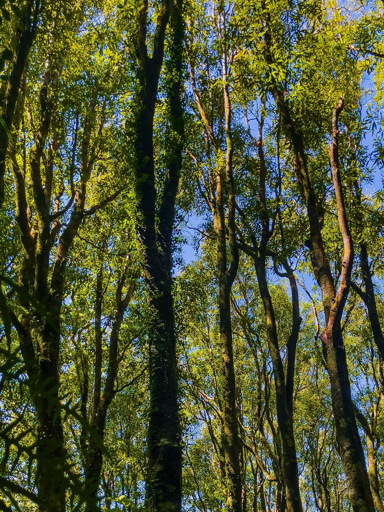 Image 7 of 9