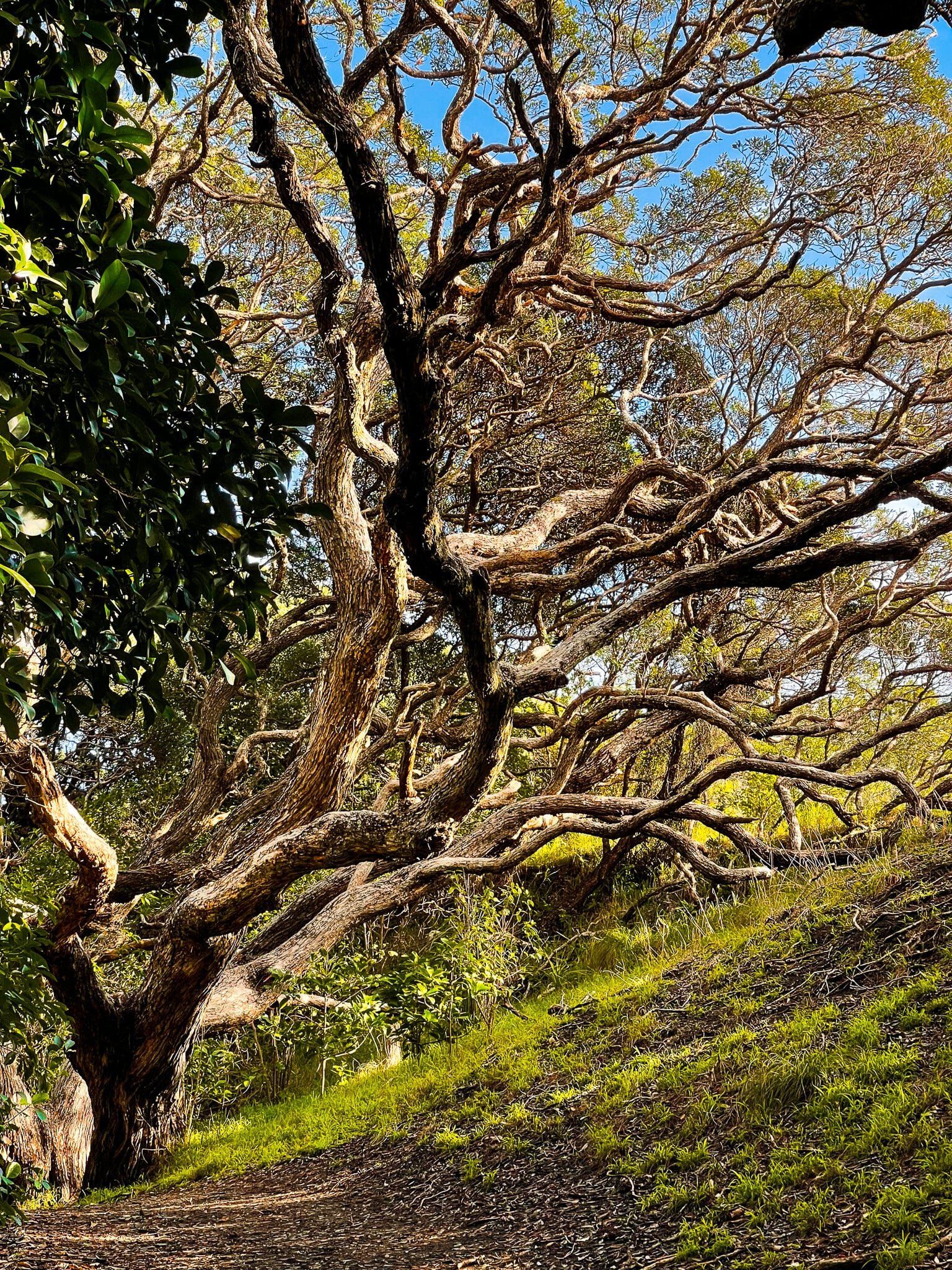 Image 9 of 15