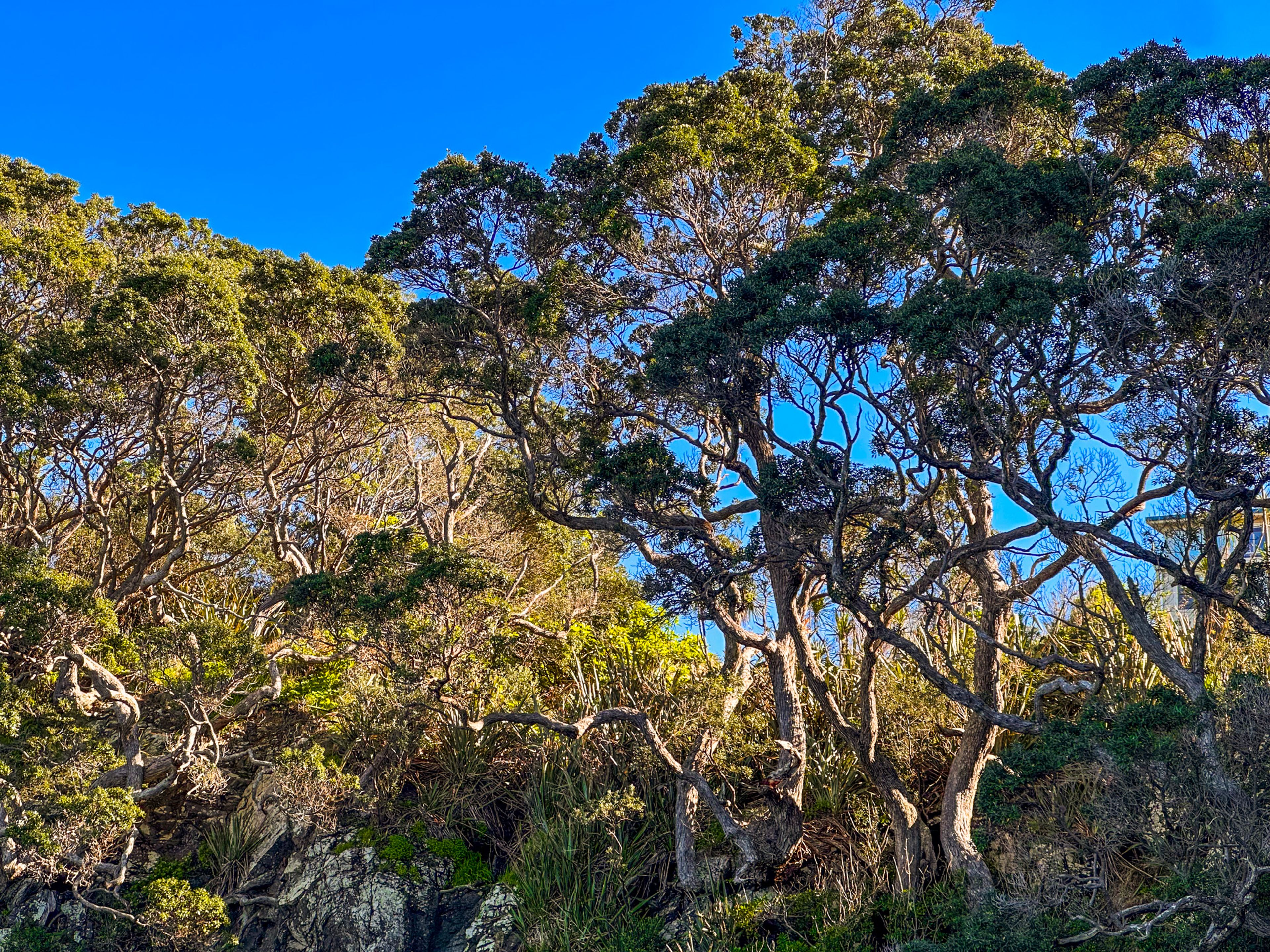Image 8 of 10