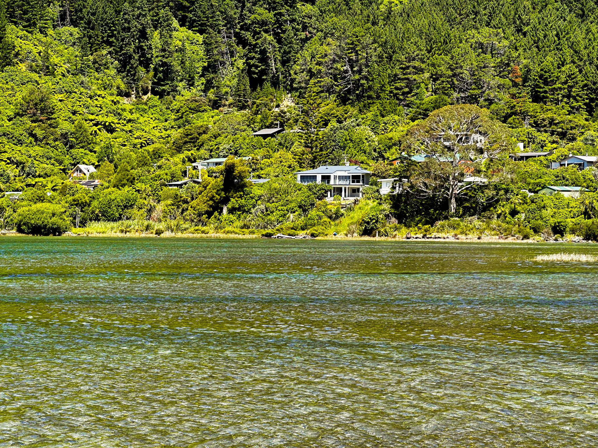 Image 7 of 10