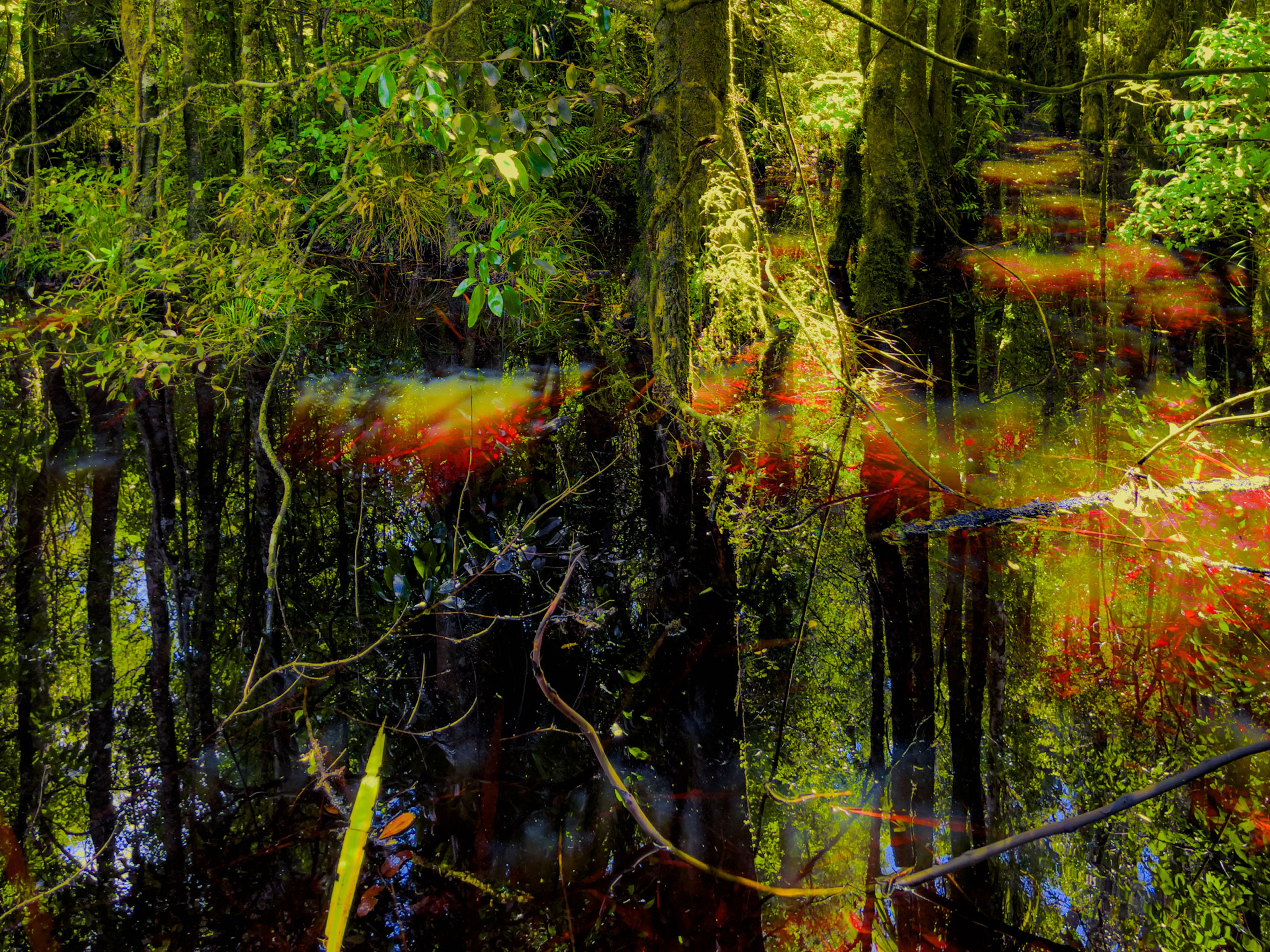 Image 9 of 10