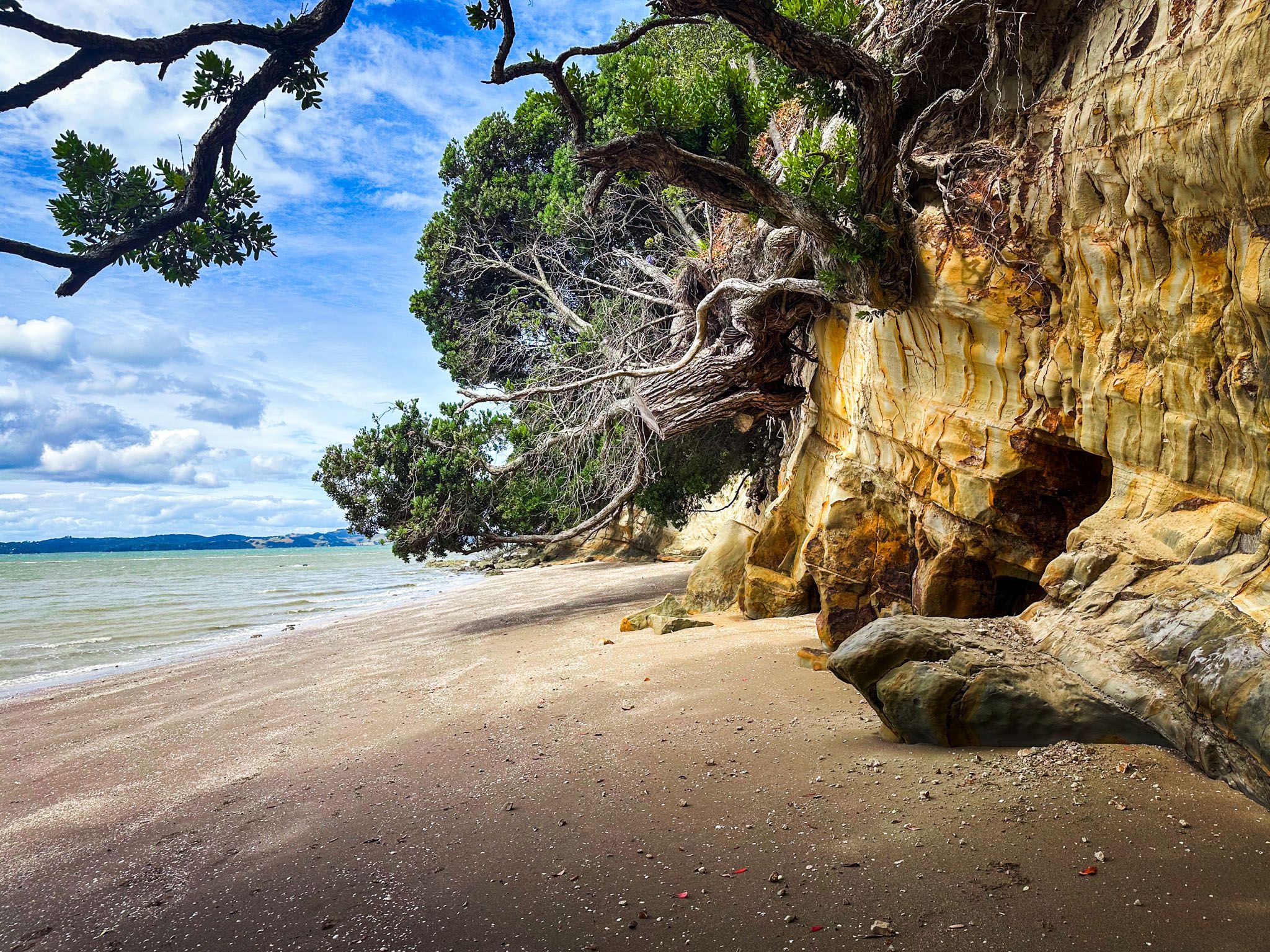 Shelly Bay