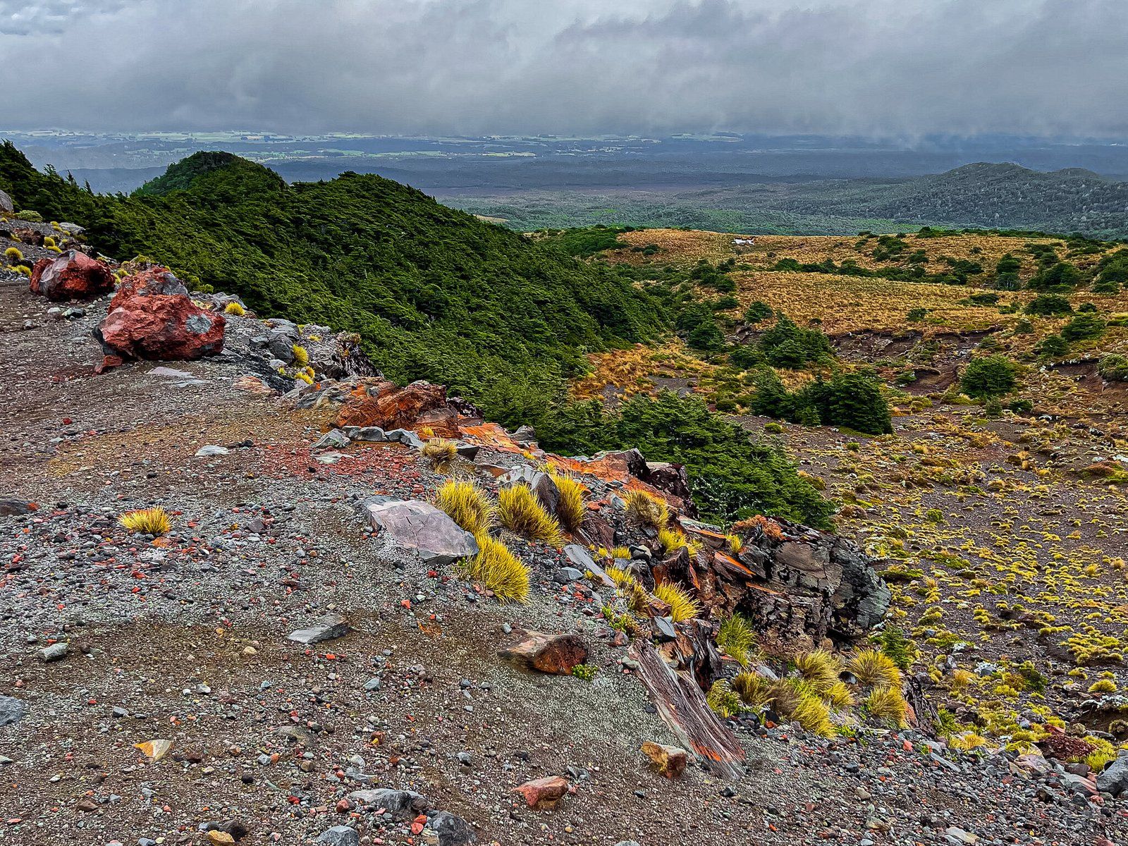 Image 7 of 8