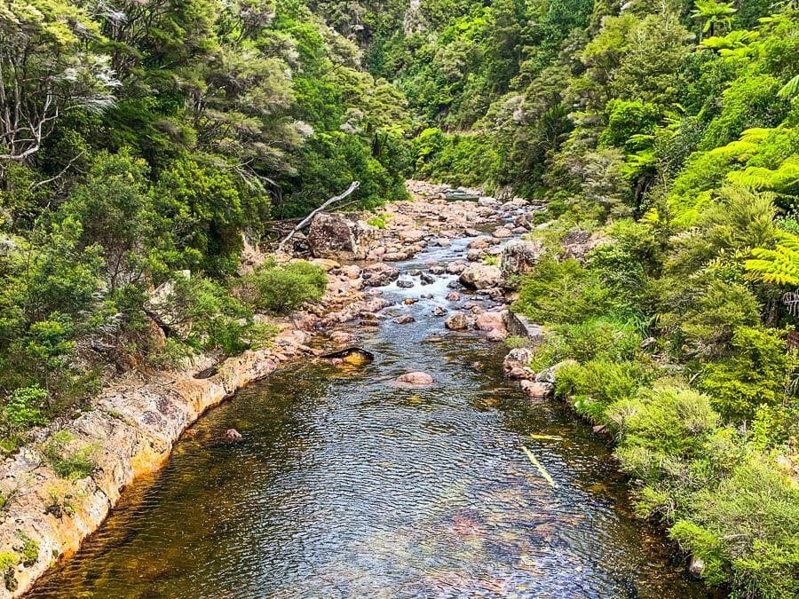 Karangahake Loop
