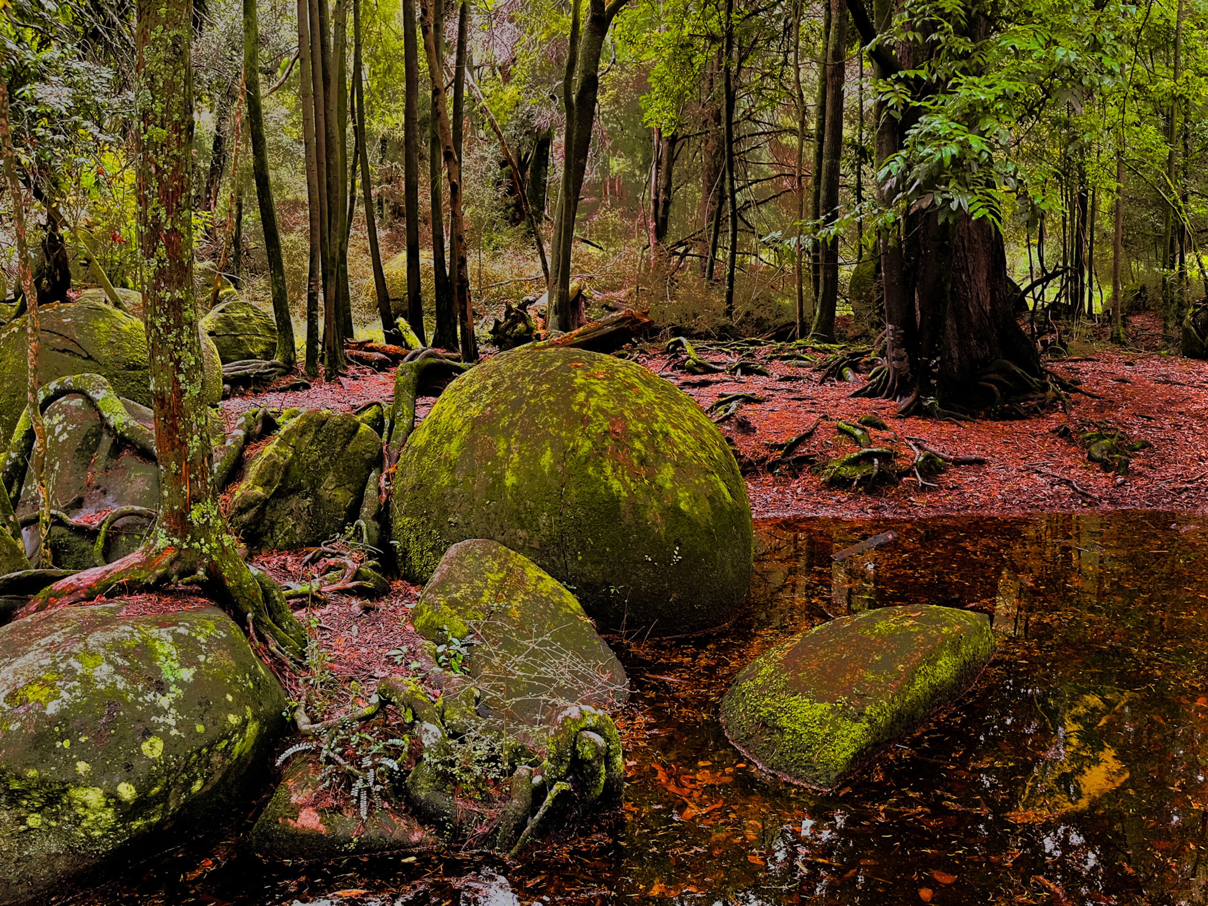 Whitecliff Boulders