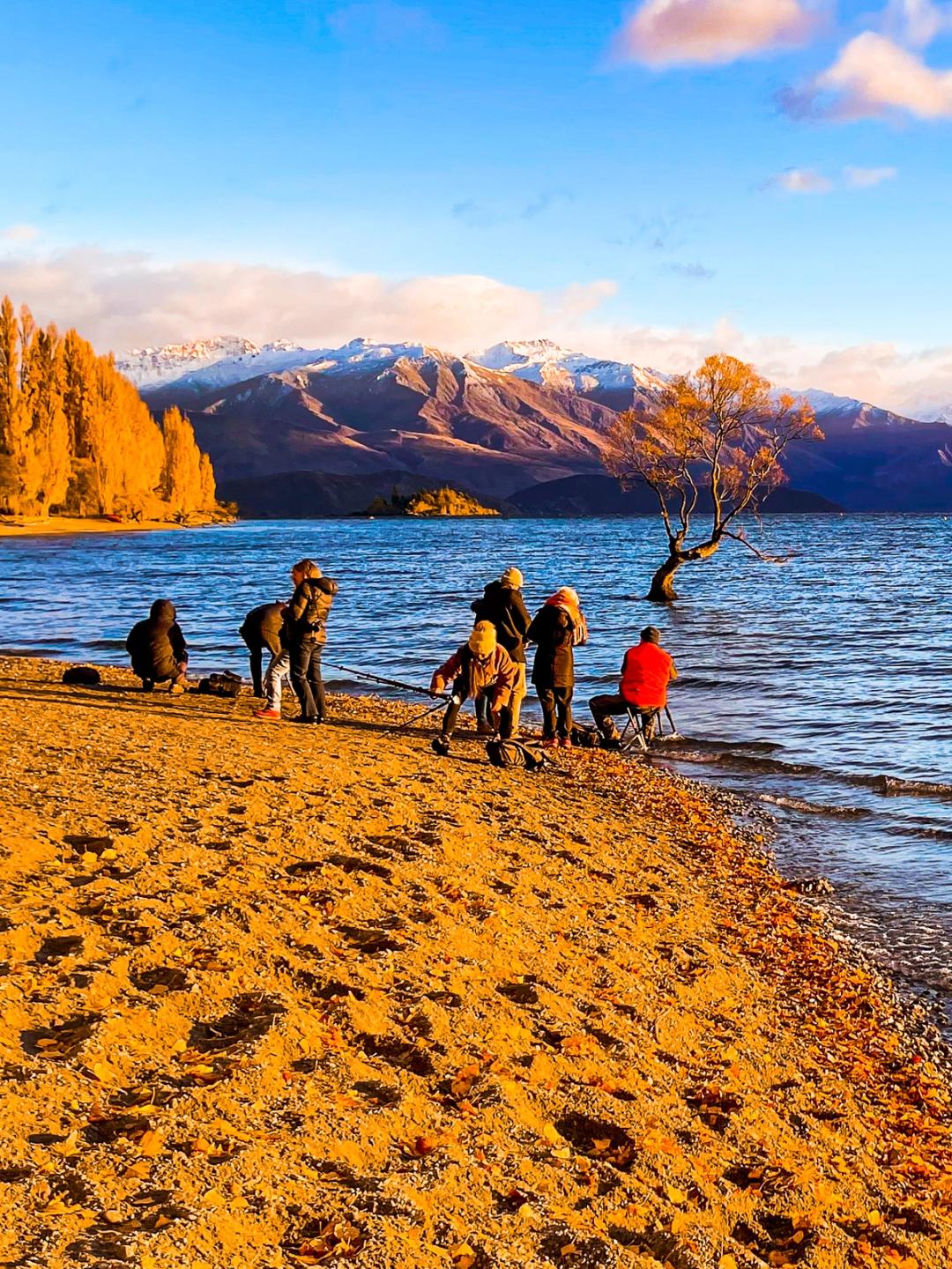 That Wānaka Tree | Queenstown Lakes - New Zealand Trip Ideas