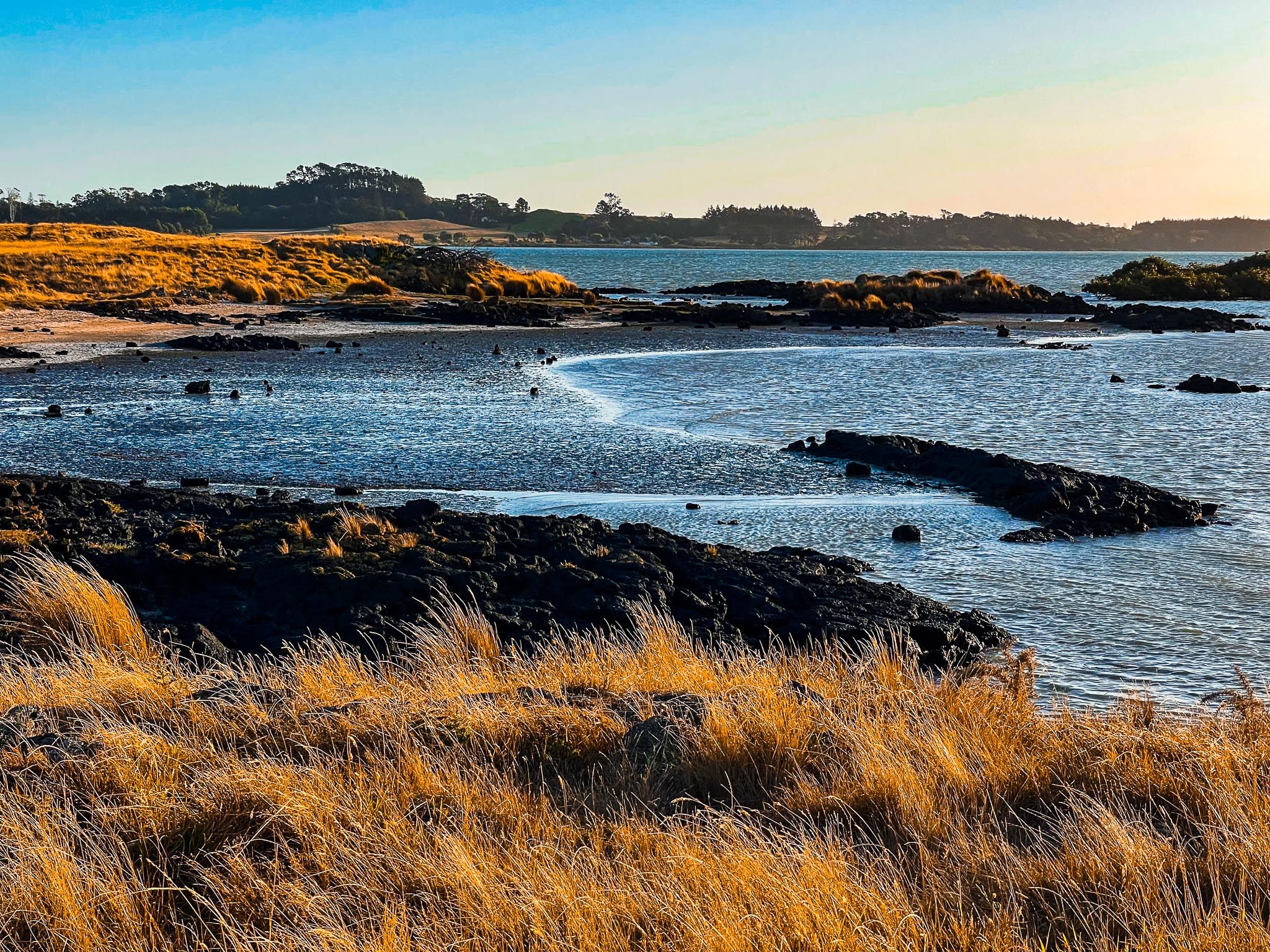 Ambury Regional Park | South Auckland - New Zealand Trip Ideas