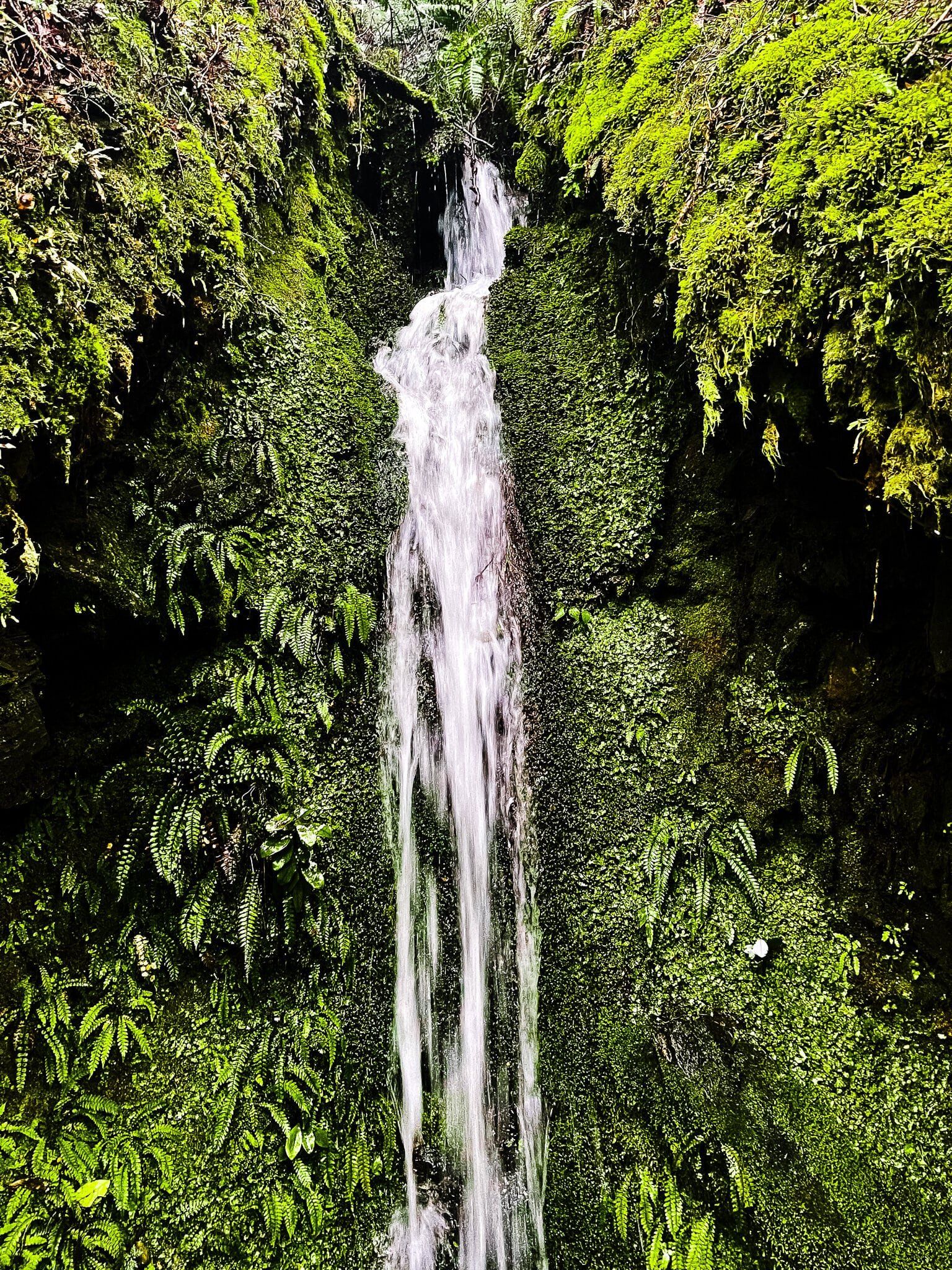 Image 1 of 14