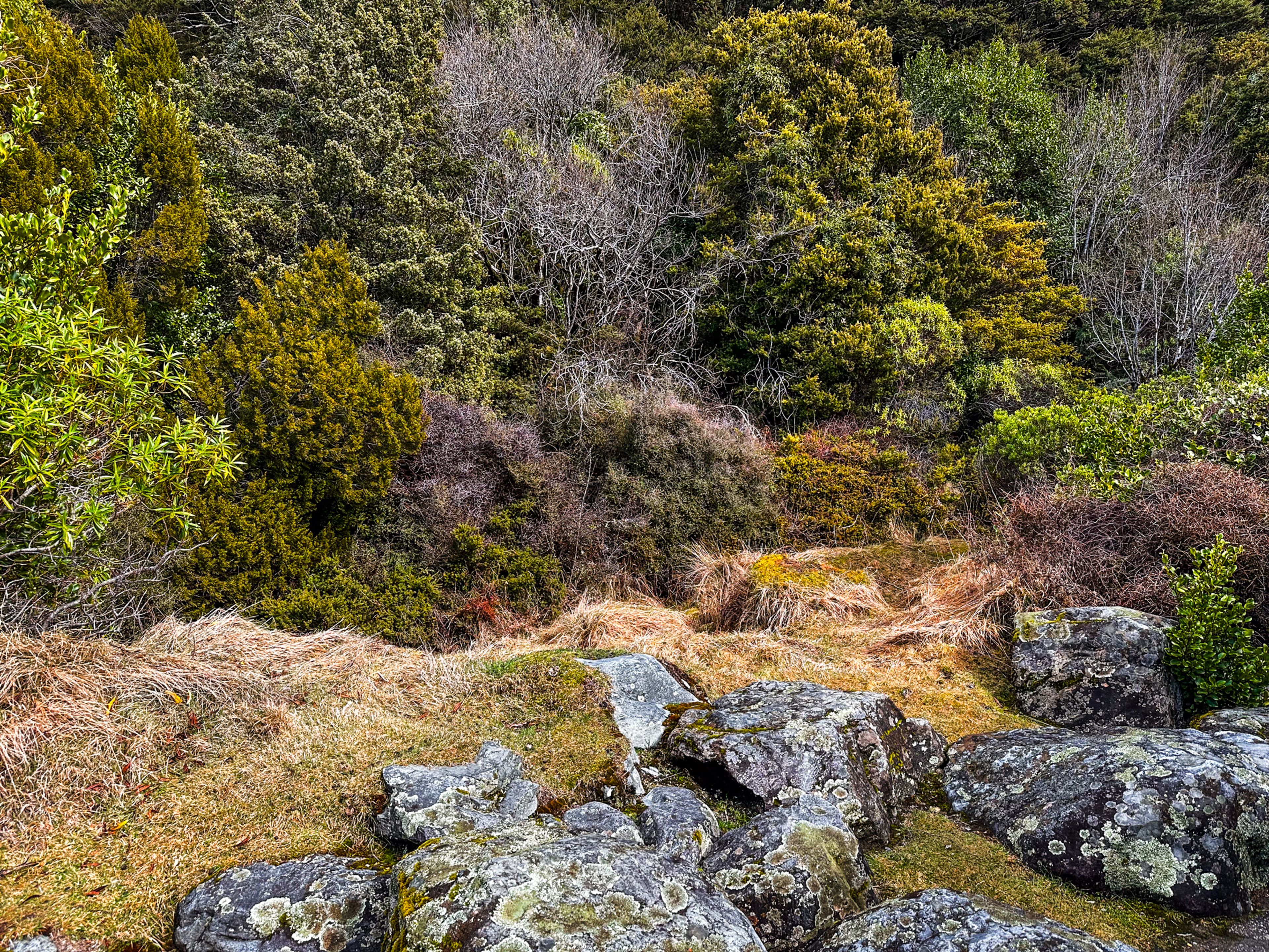 Image 10 of 10