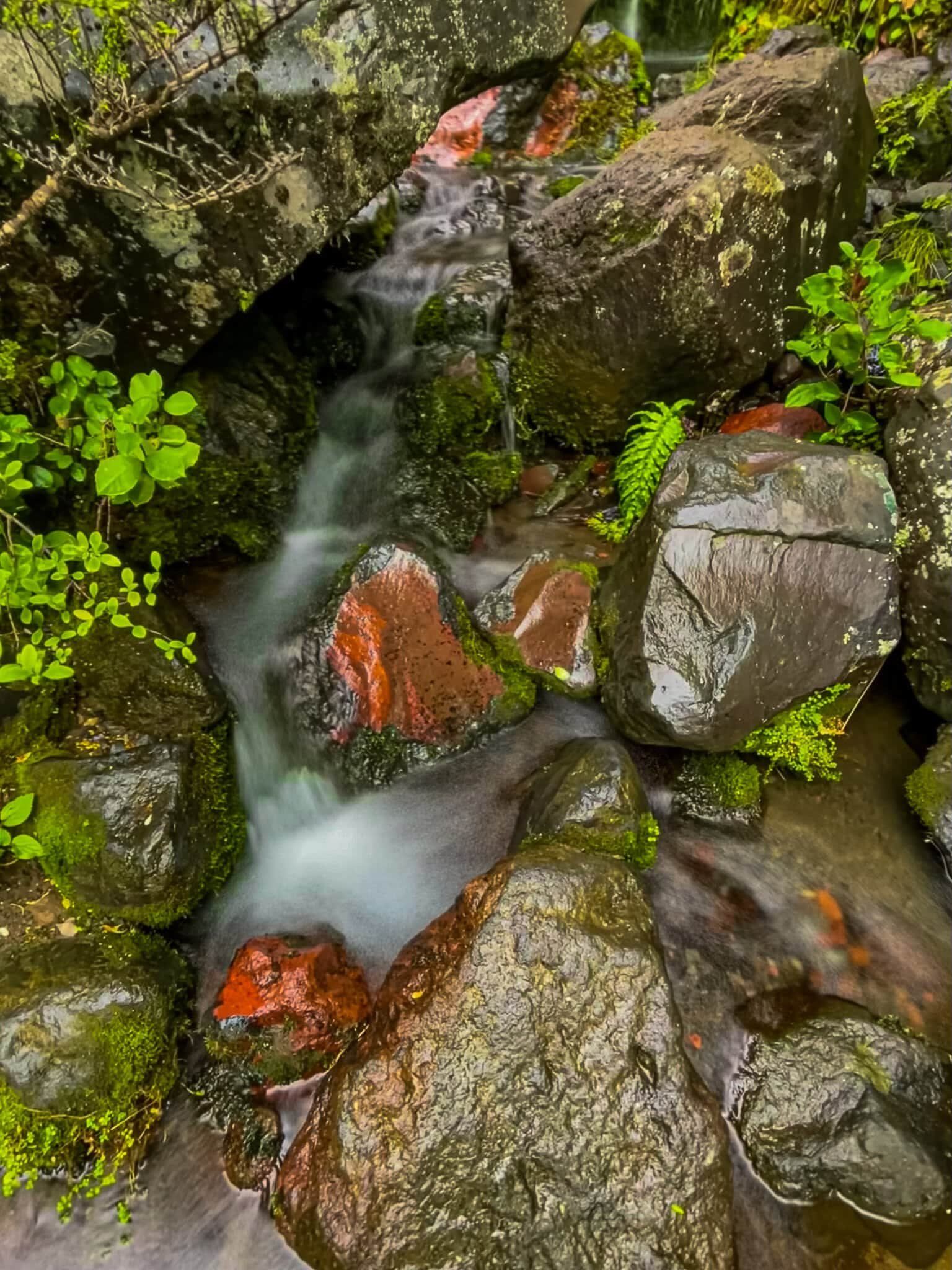 Image 4 of 10