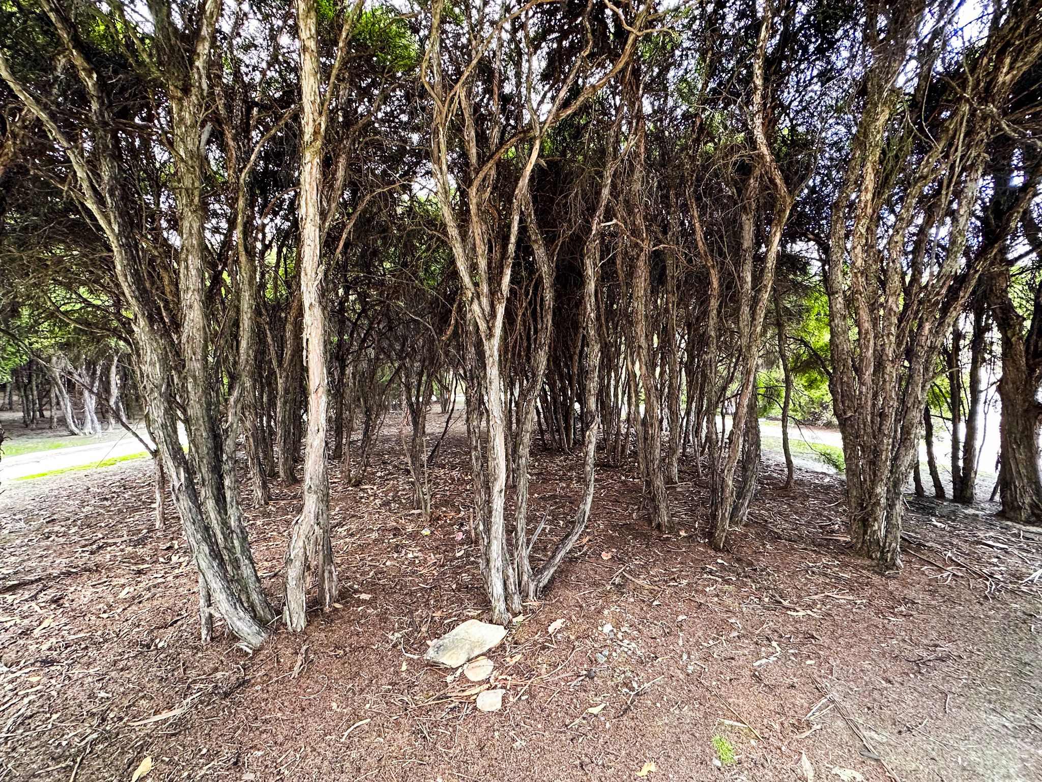 Image 9 of 10