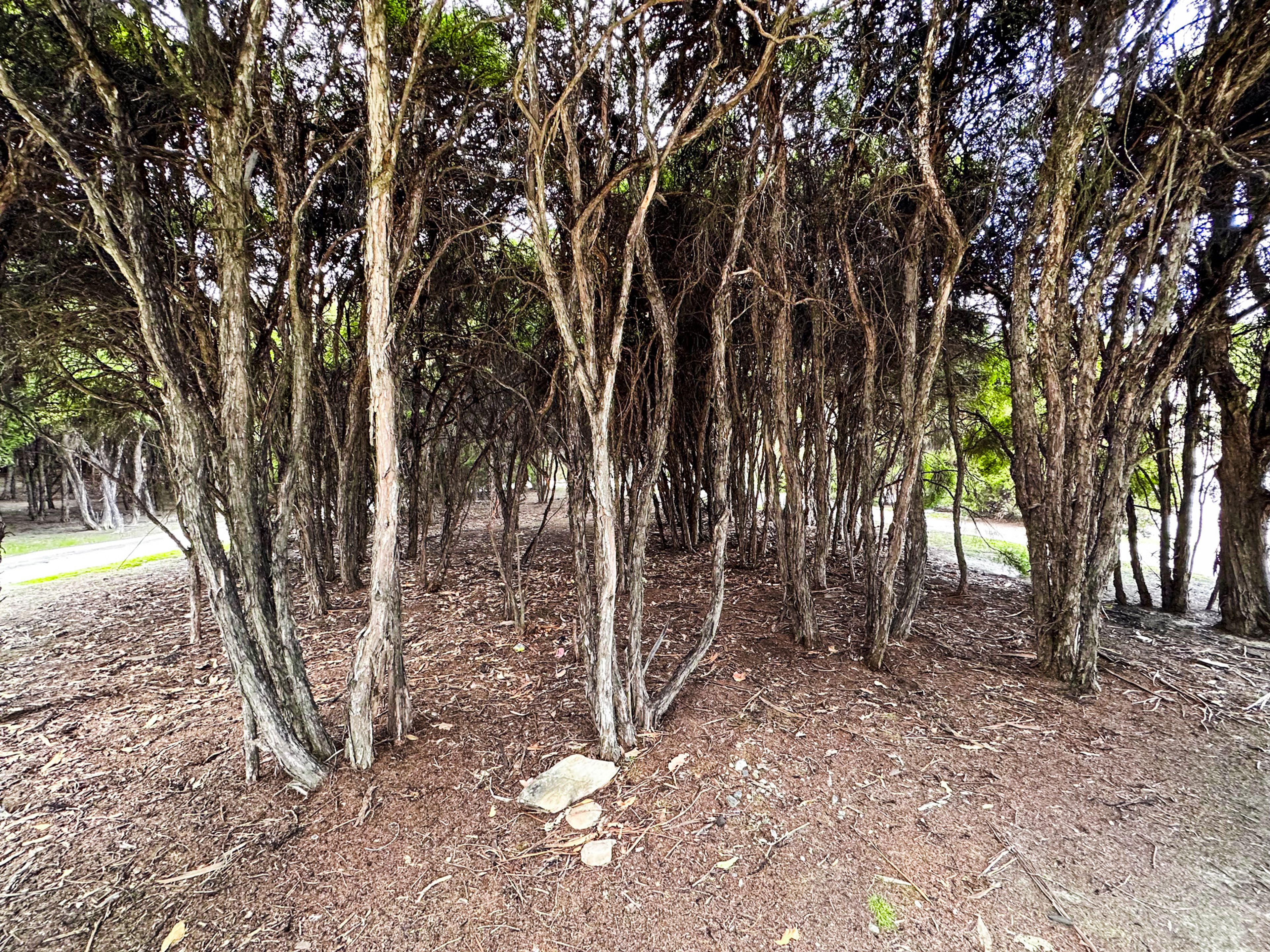 Image 9 of 10