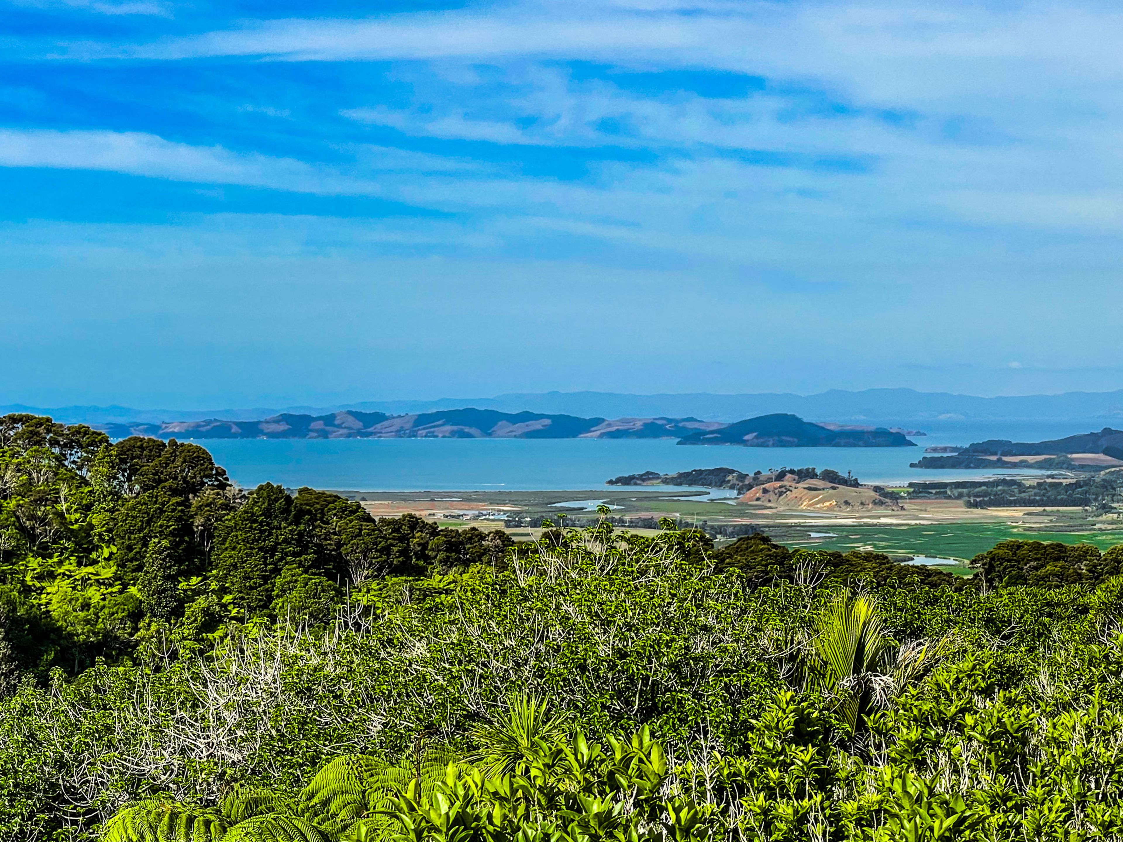 Te Nikau Pā / Clevedon Scenic Reserve