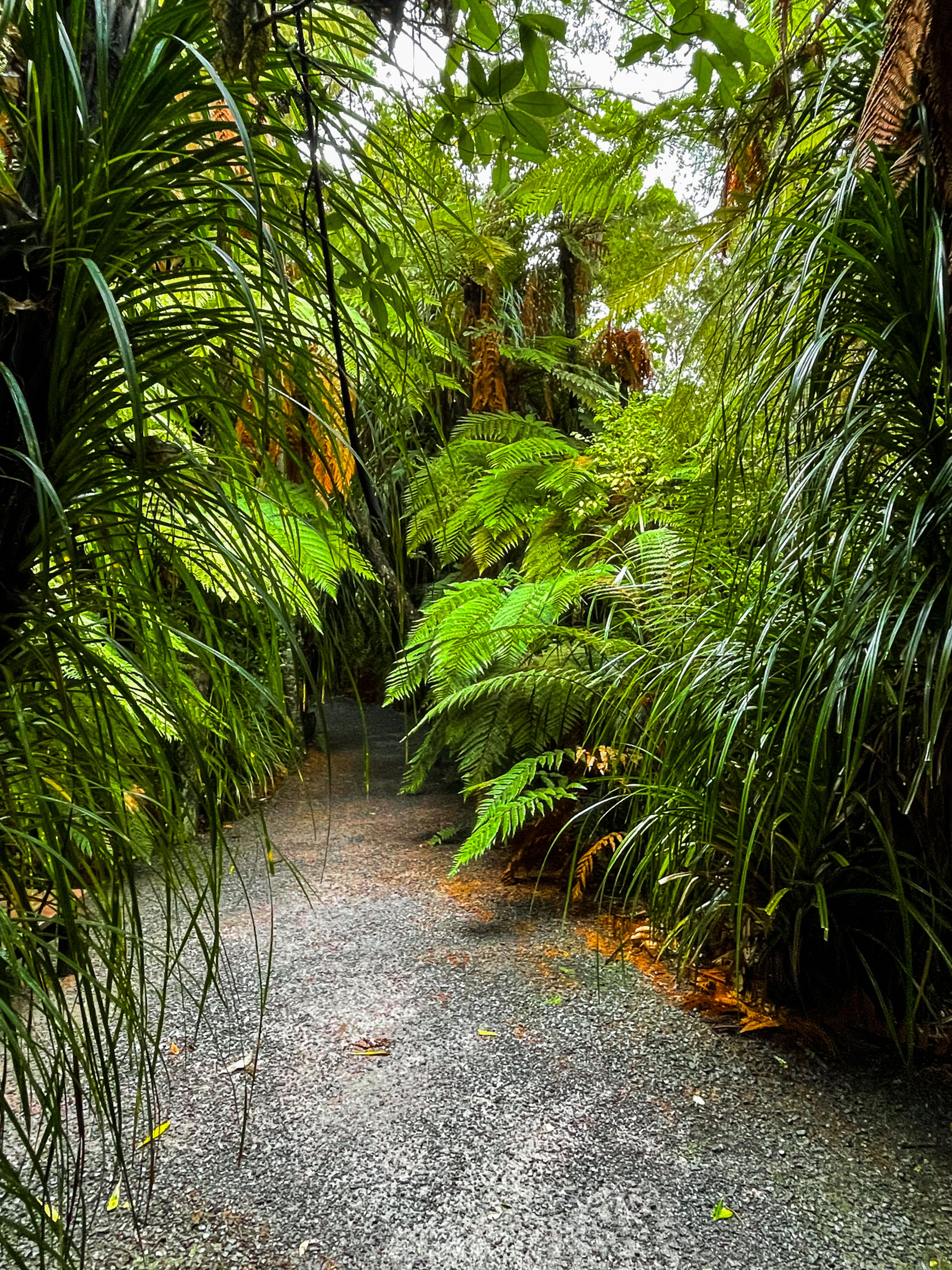 Image 8 of 10