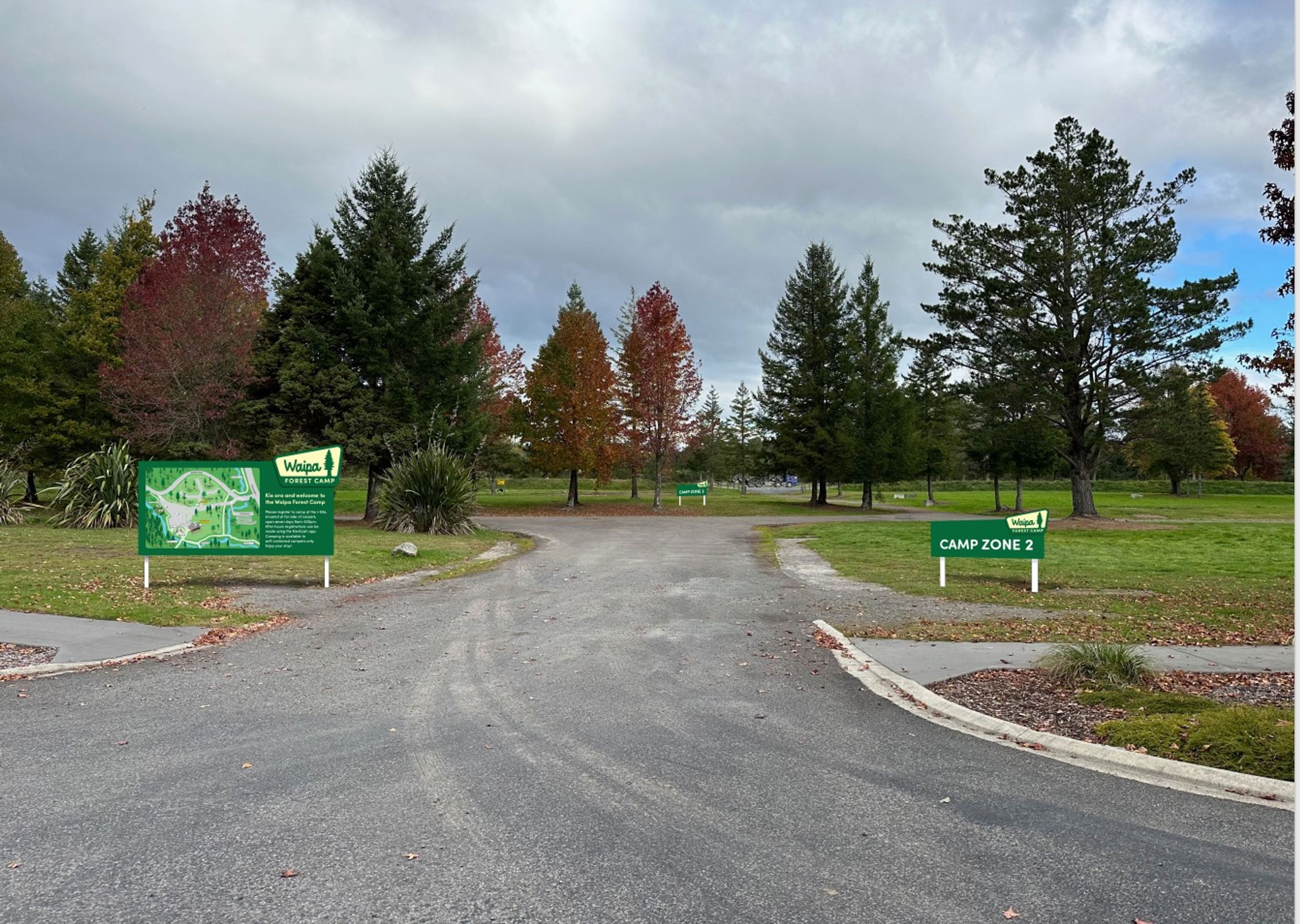 Waipa Forest Camp