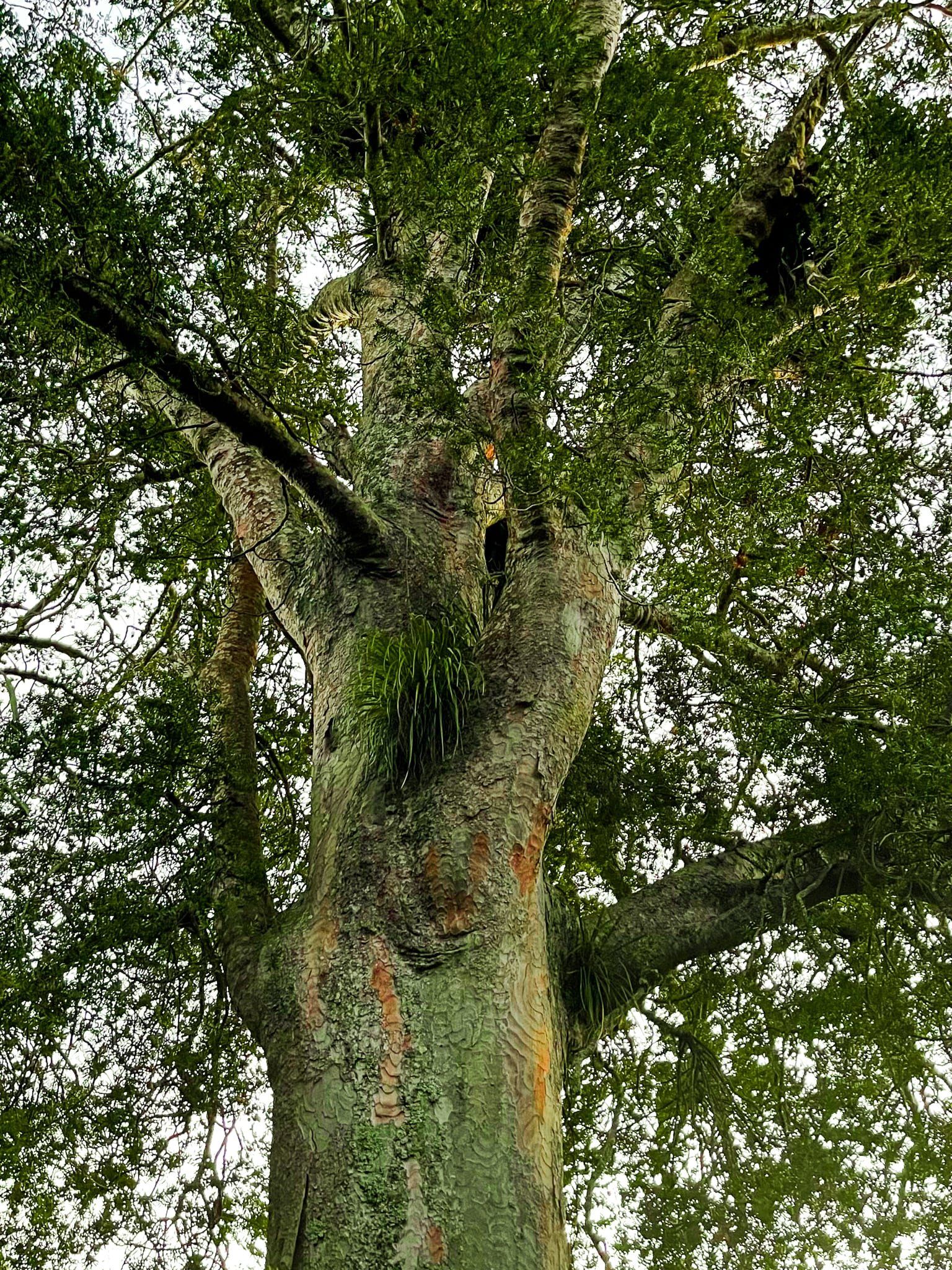 Image 9 of 11