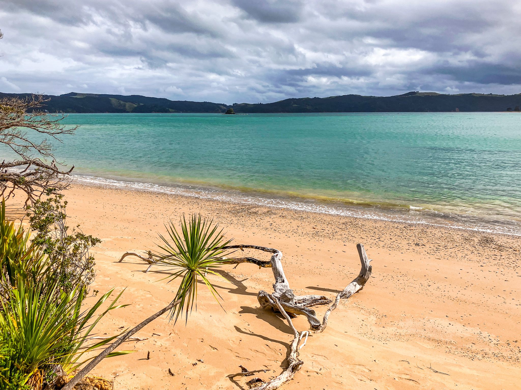 Rotoroa Island
