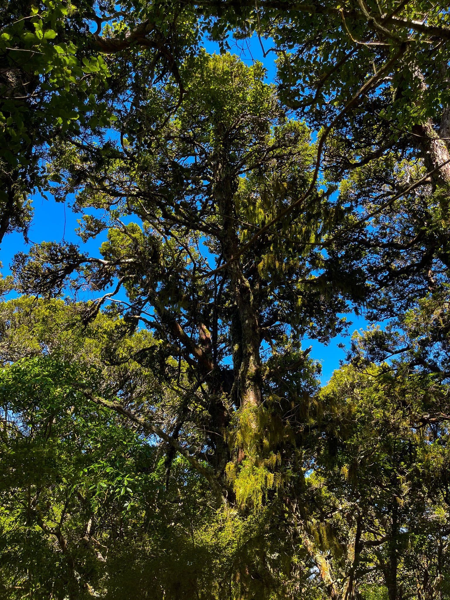Image 8 of 11