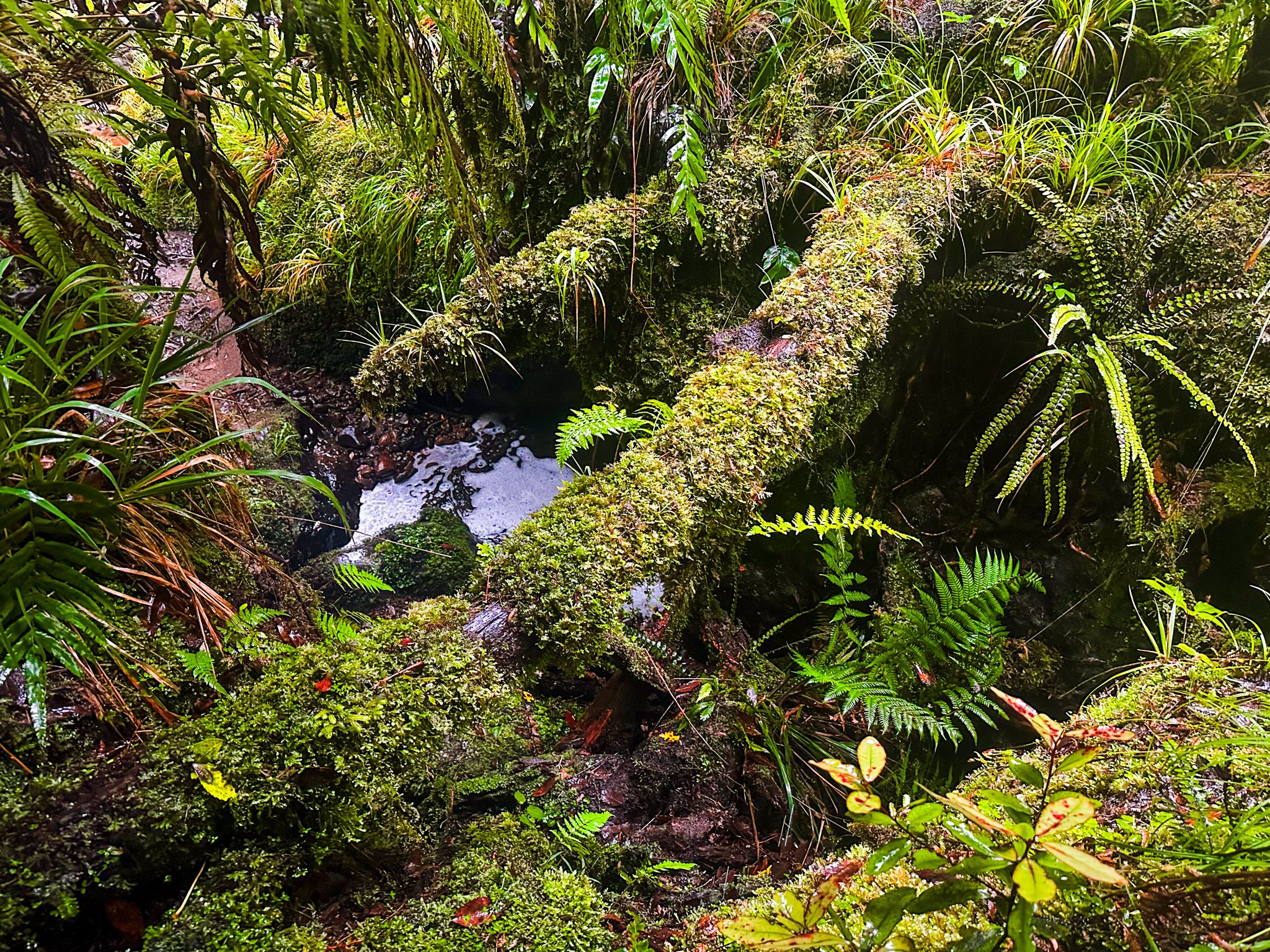 Image 9 of 10