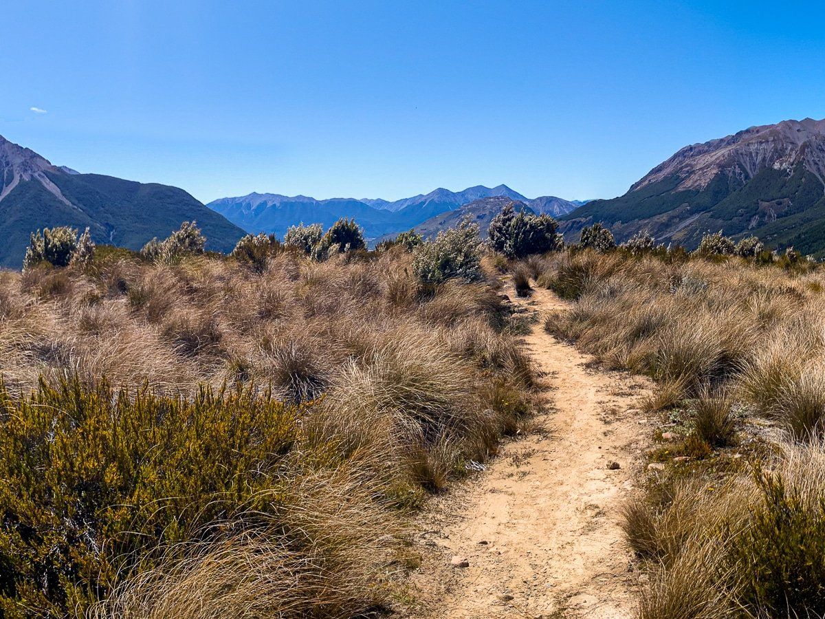 Bealey Spur