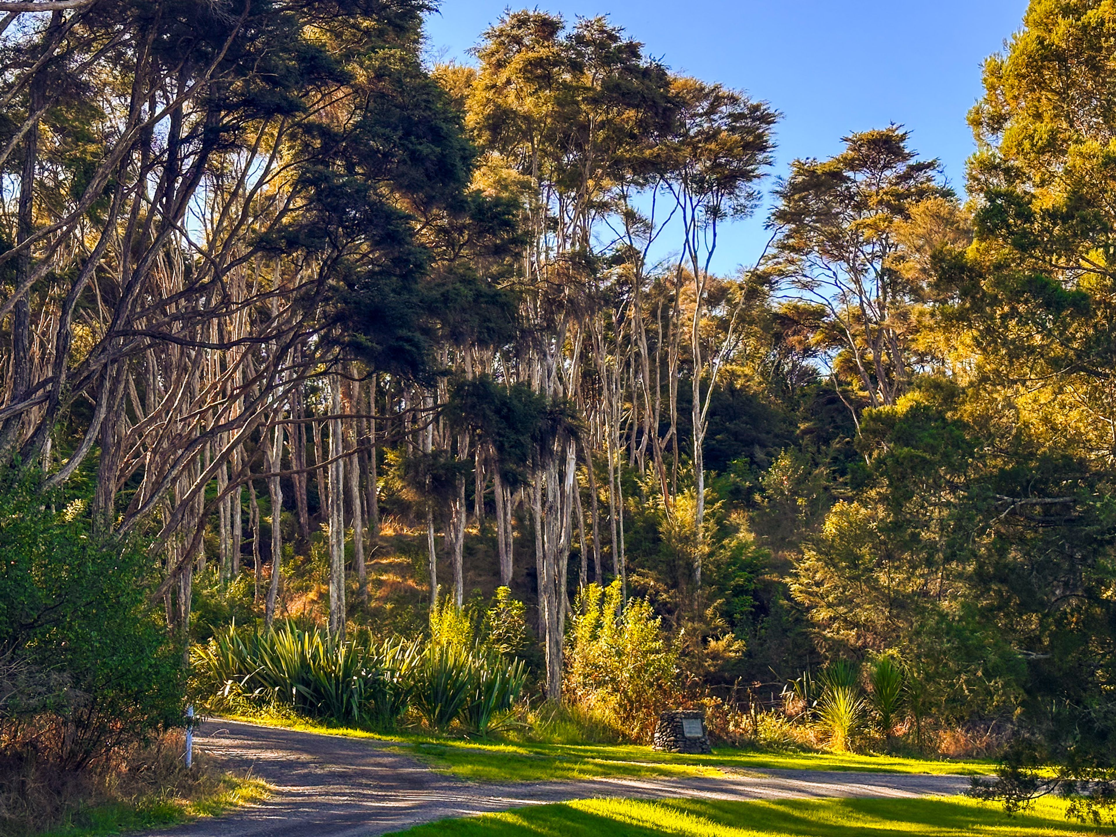 Image 7 of 10