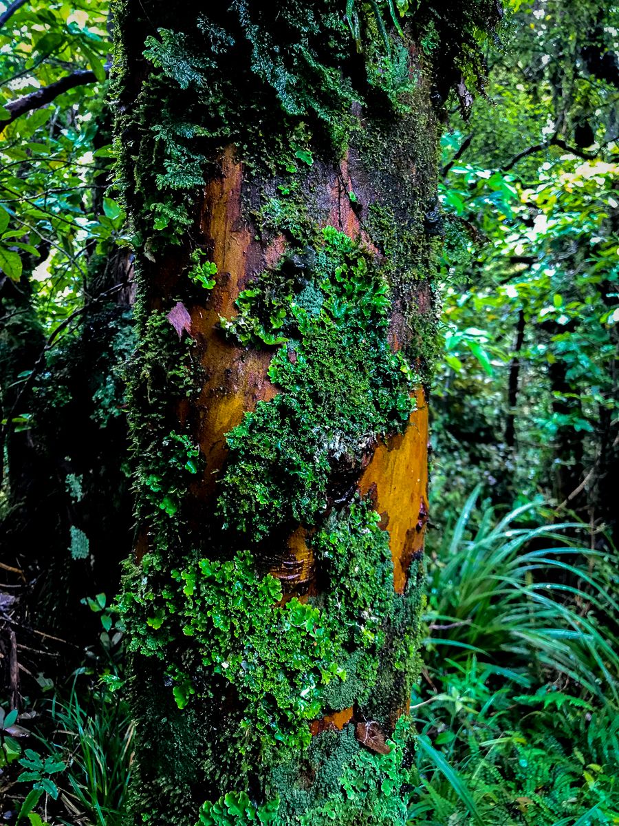 Image 2 of 10