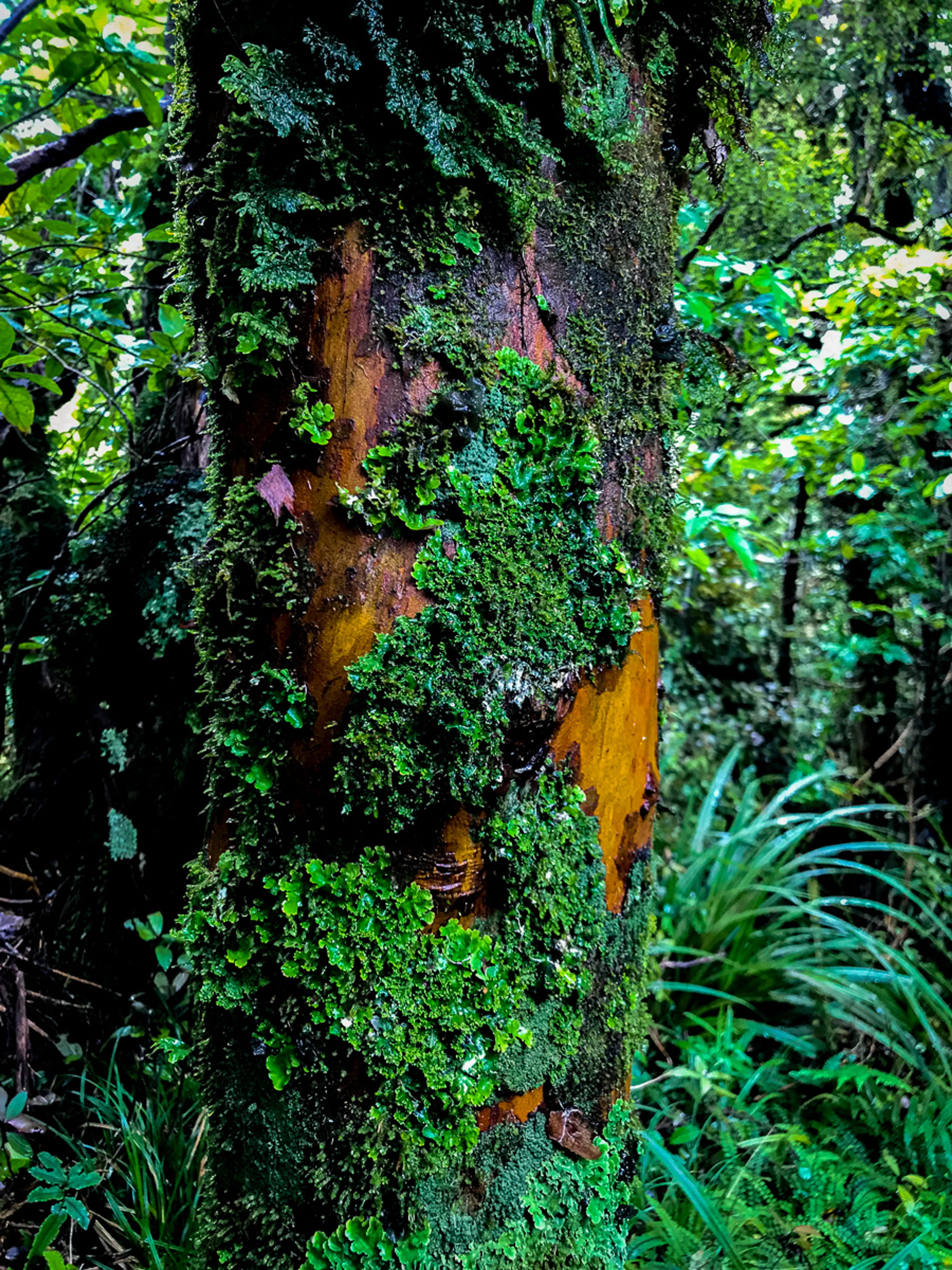 Image 2 of 10