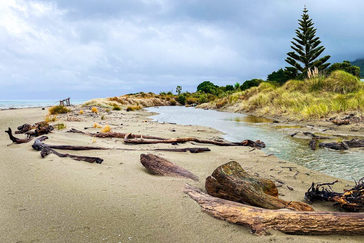 Taking a Break in Collingwood, Golden Bay