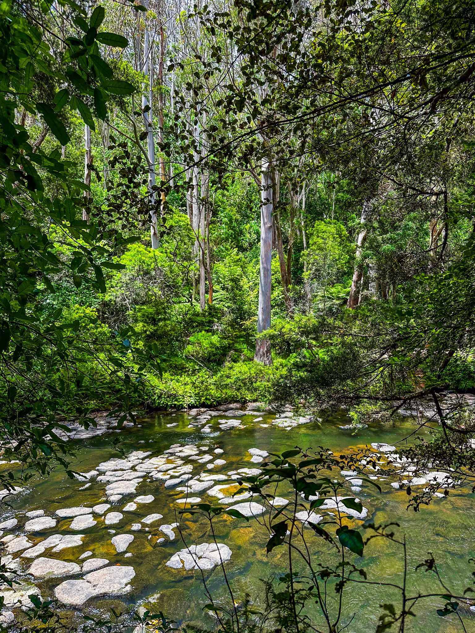 Image 2 of 11