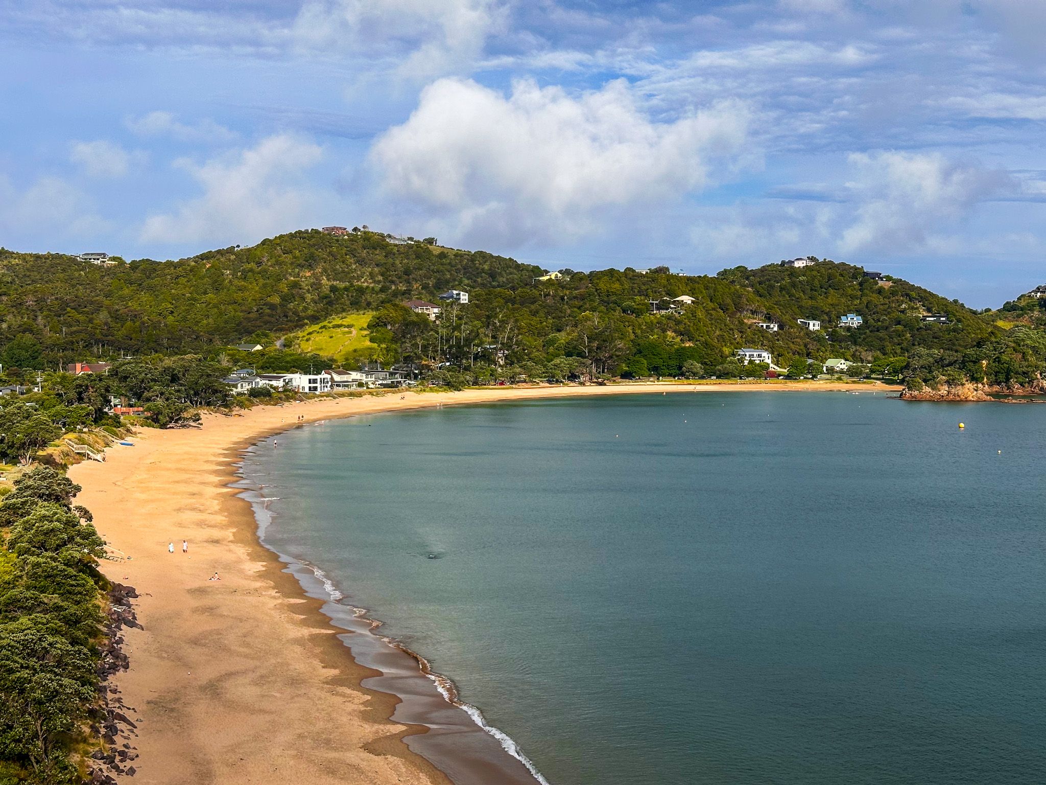 Whangaumu Bay Track