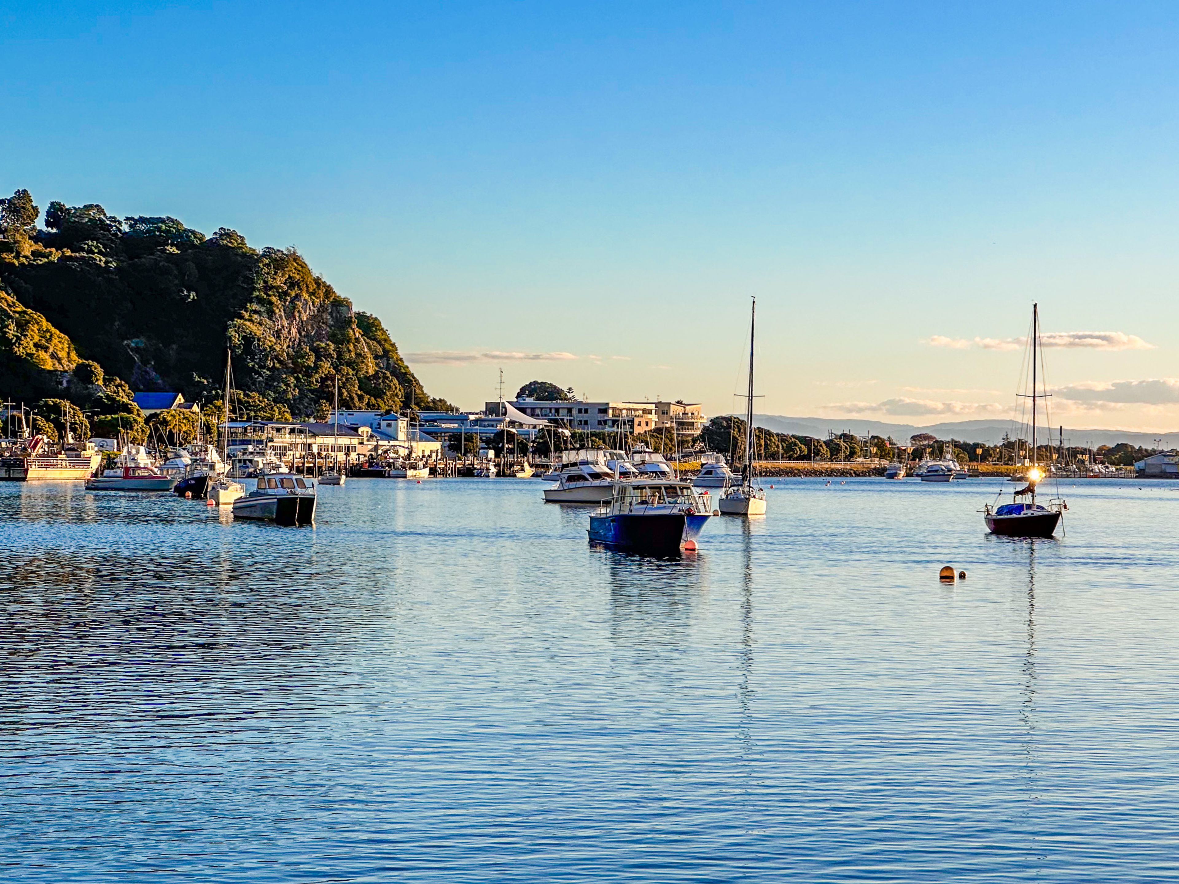 Moored boats on beautiful Whakatane Harbour at golden hour