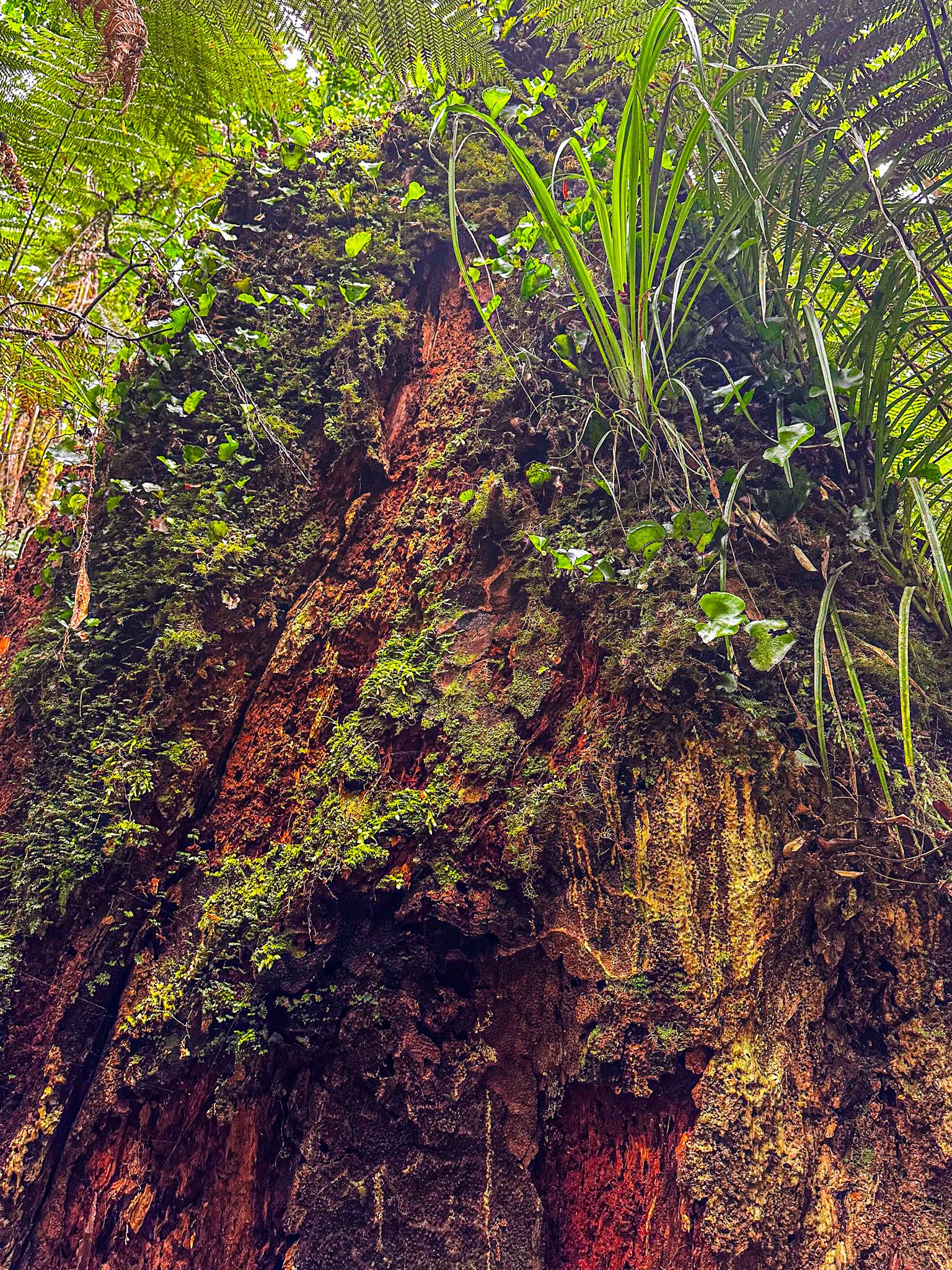 Image 8 of 10
