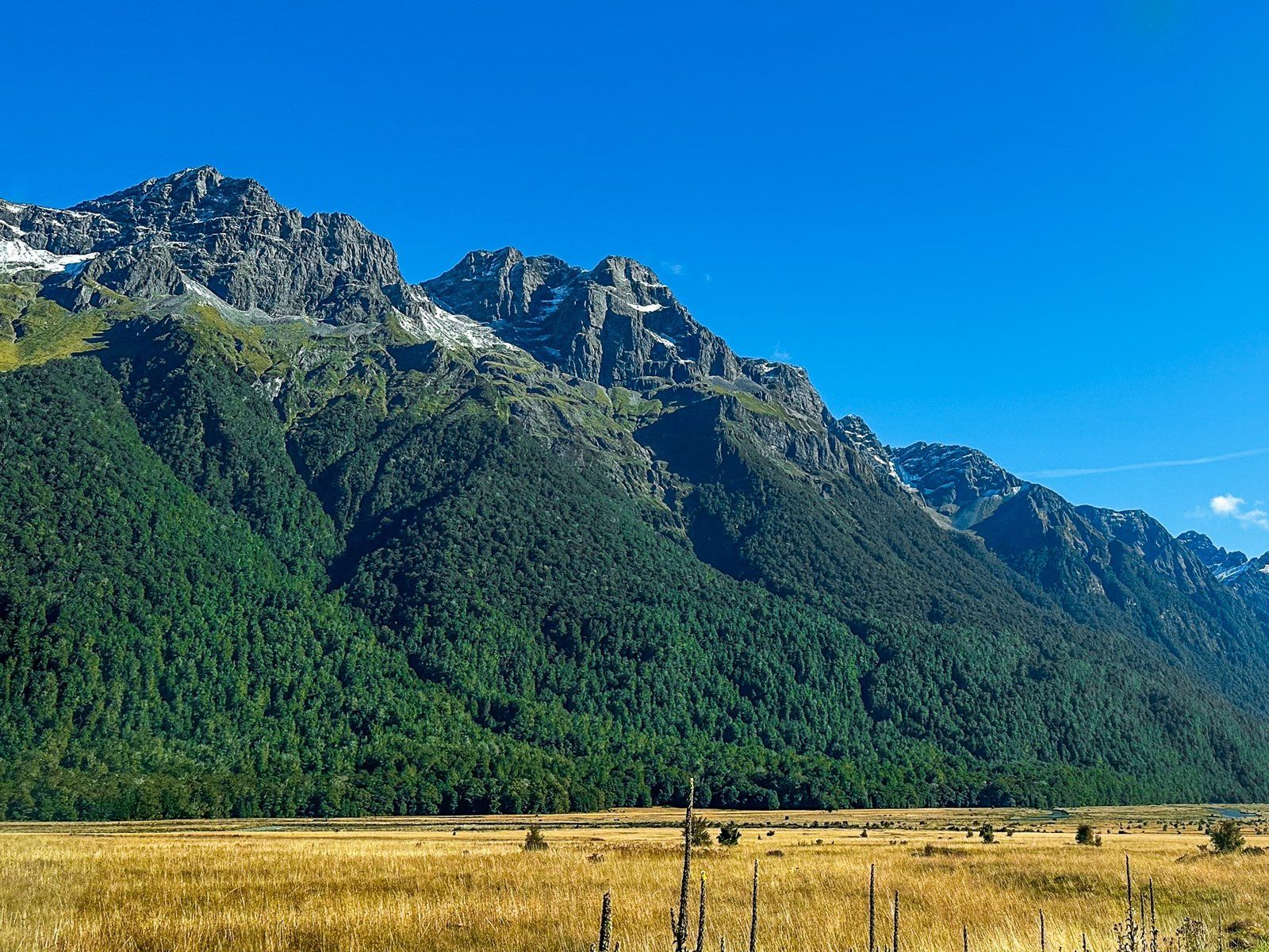 Image 4 of 10