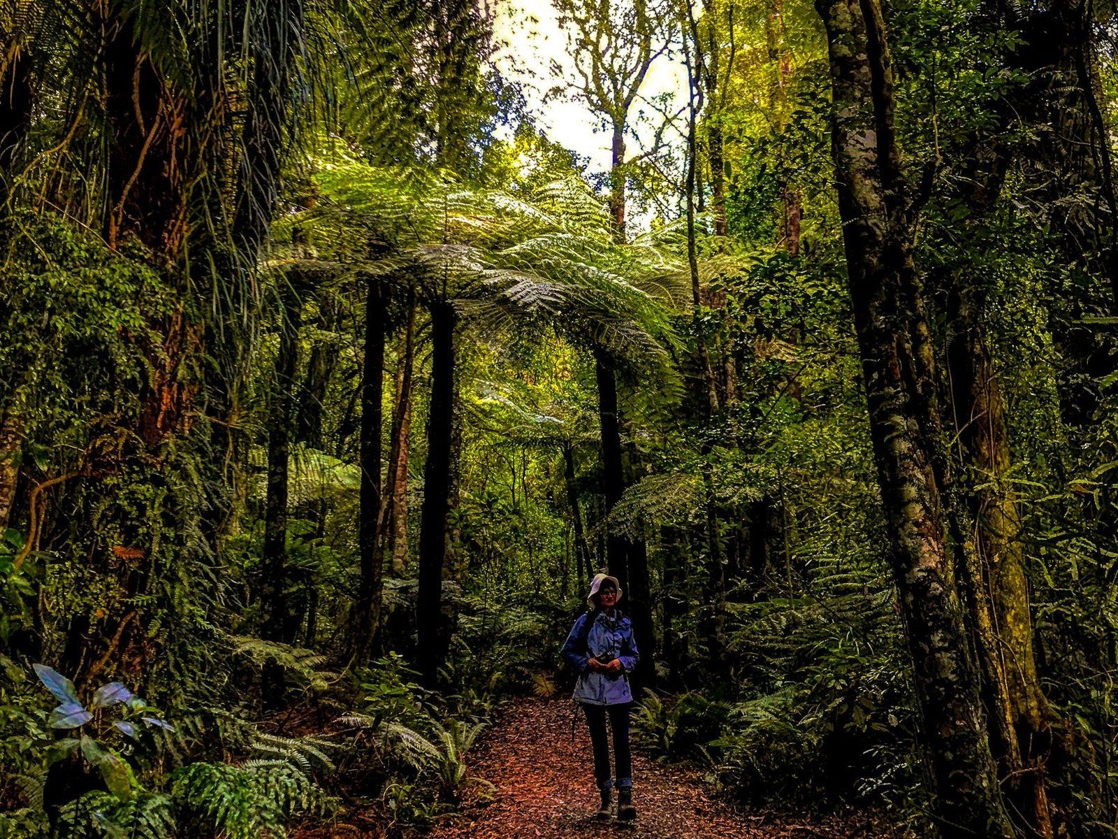 Maungatautari South
