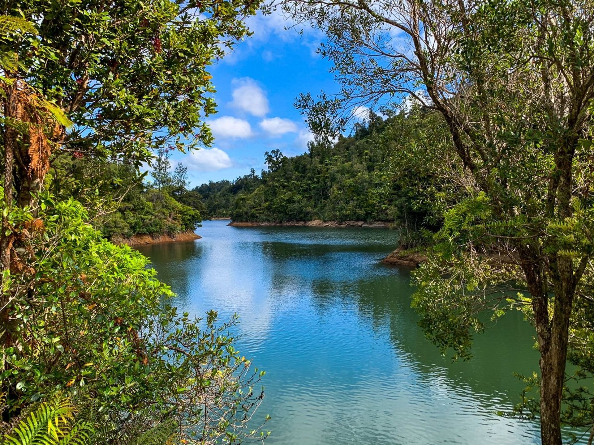 Waitākere Ranges | West Auckland - New Zealand Trip Ideas