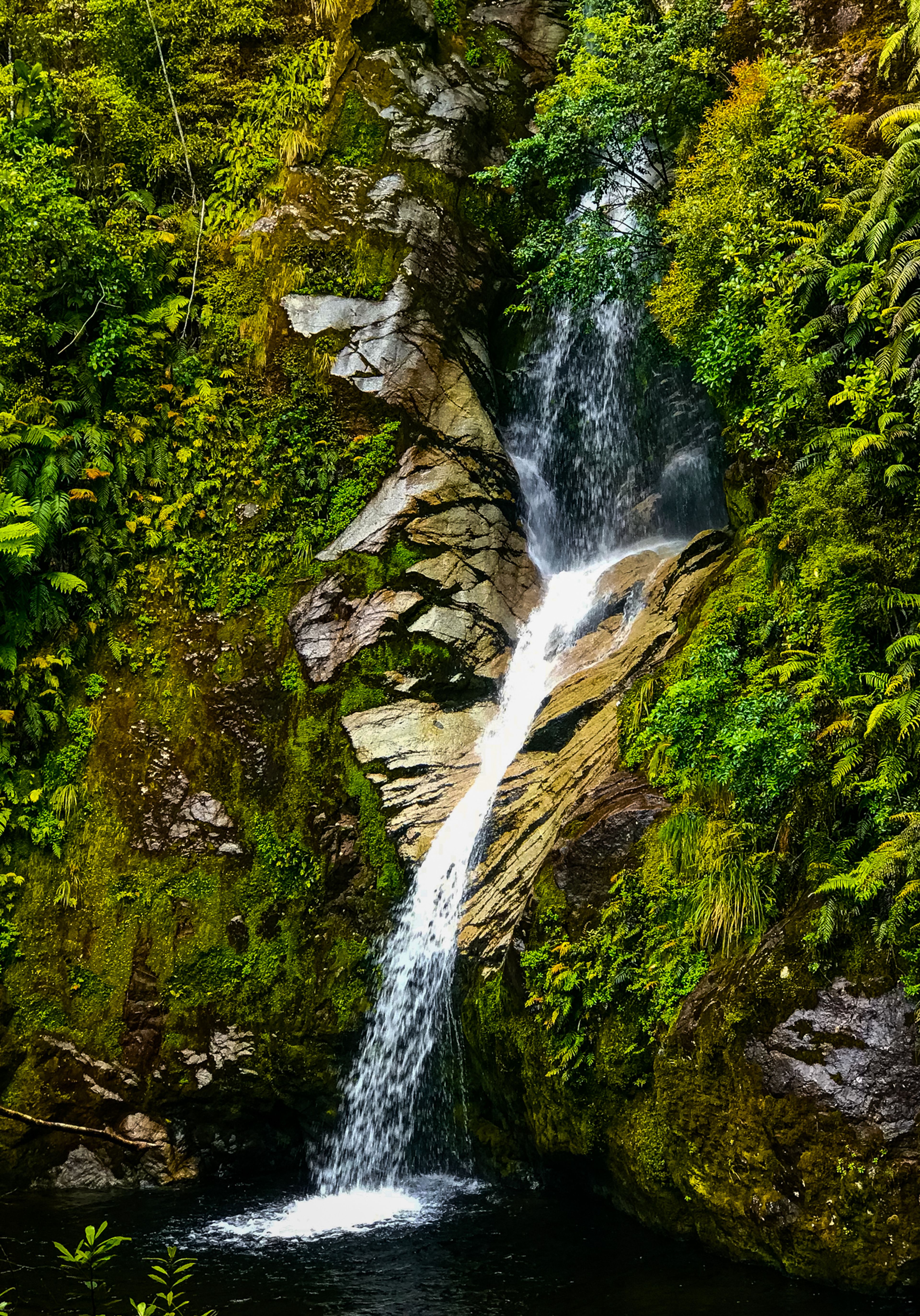 Image 6 of 11