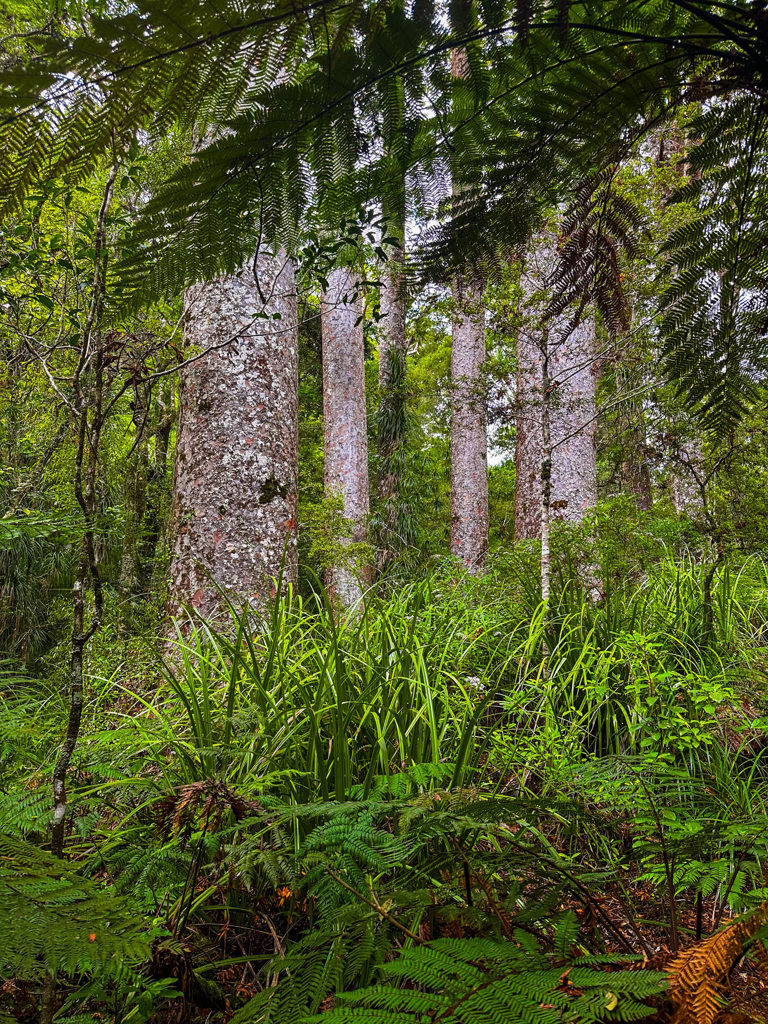 Image 10 of 10