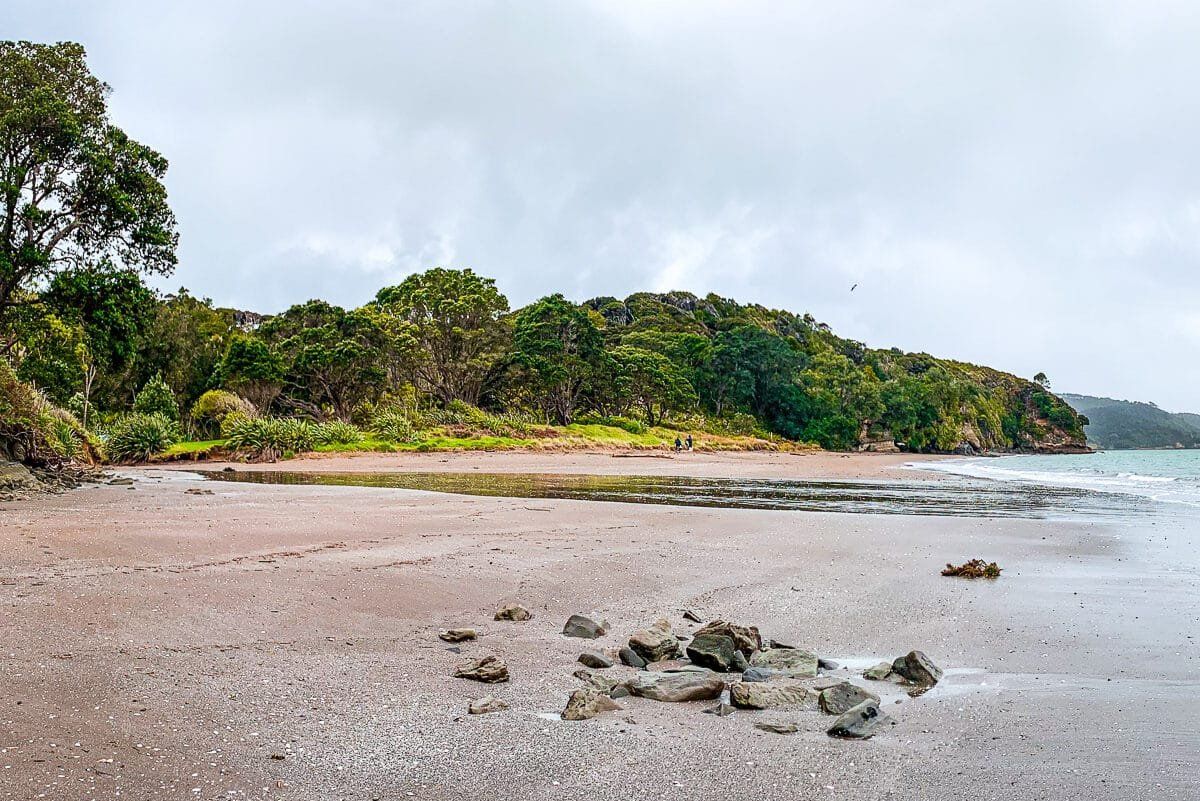 Exploring the beaches of the Manukau Harbour