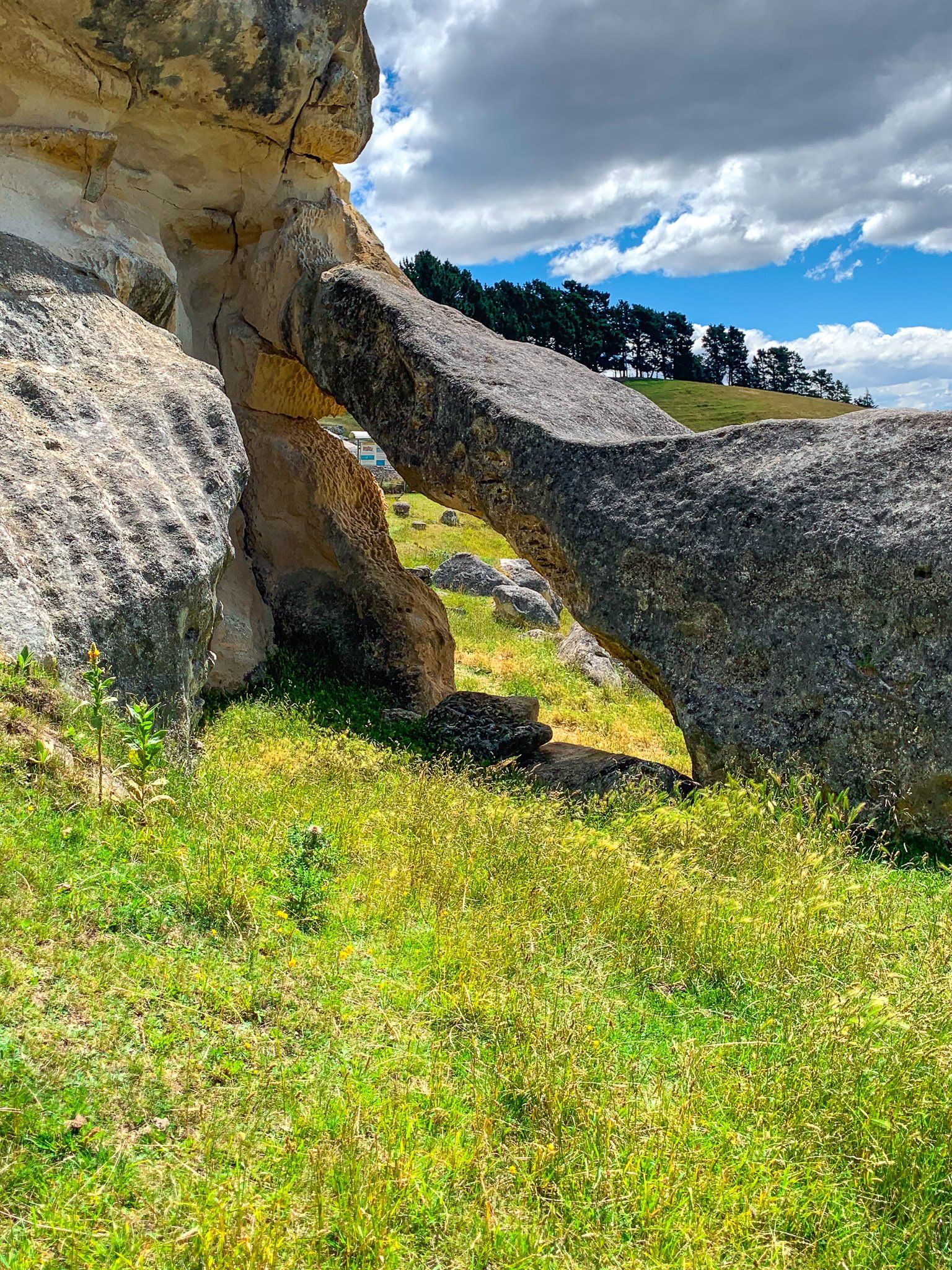 Image 9 of 10
