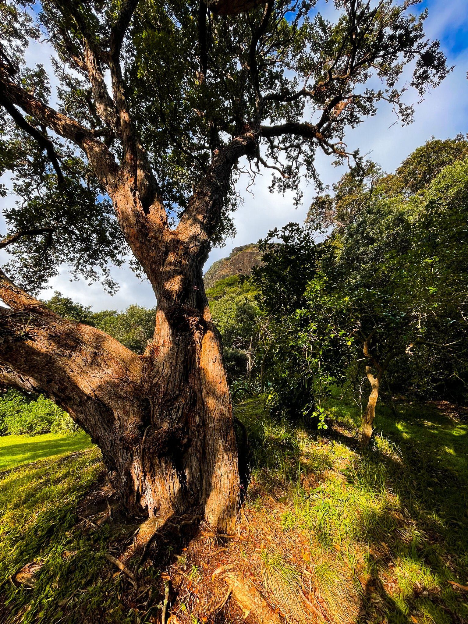Image 15 of 15