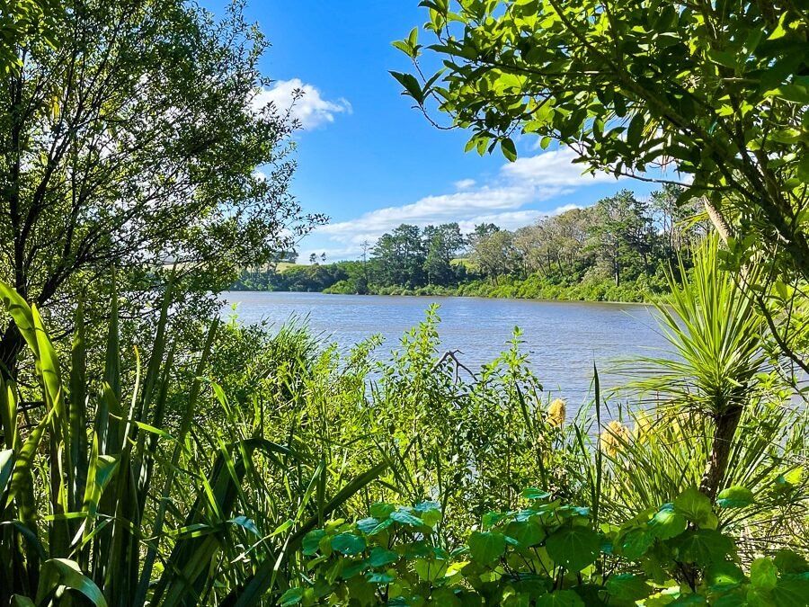 Lake Westmere and Lake Wiritoa