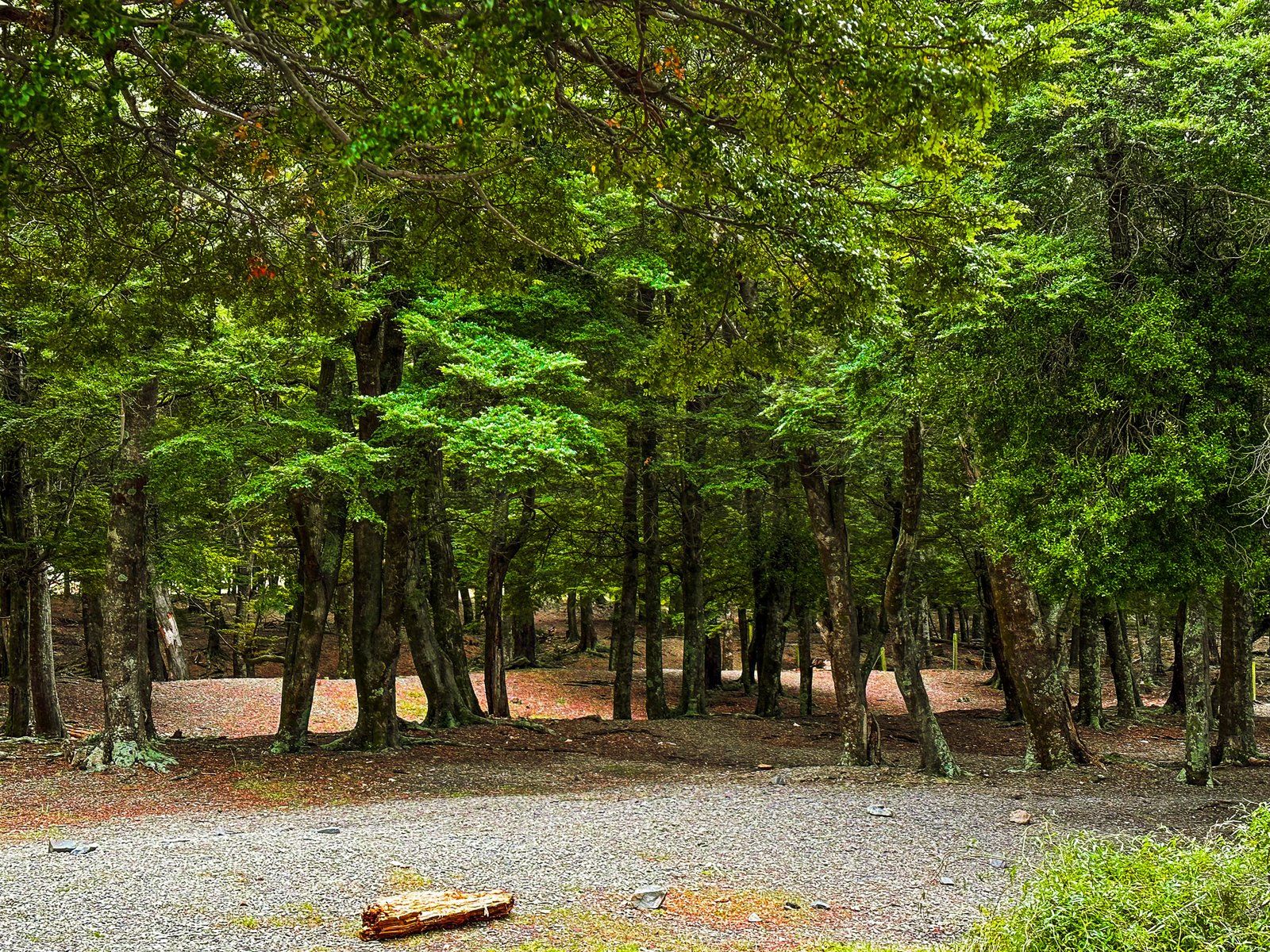 Image 7 of 9