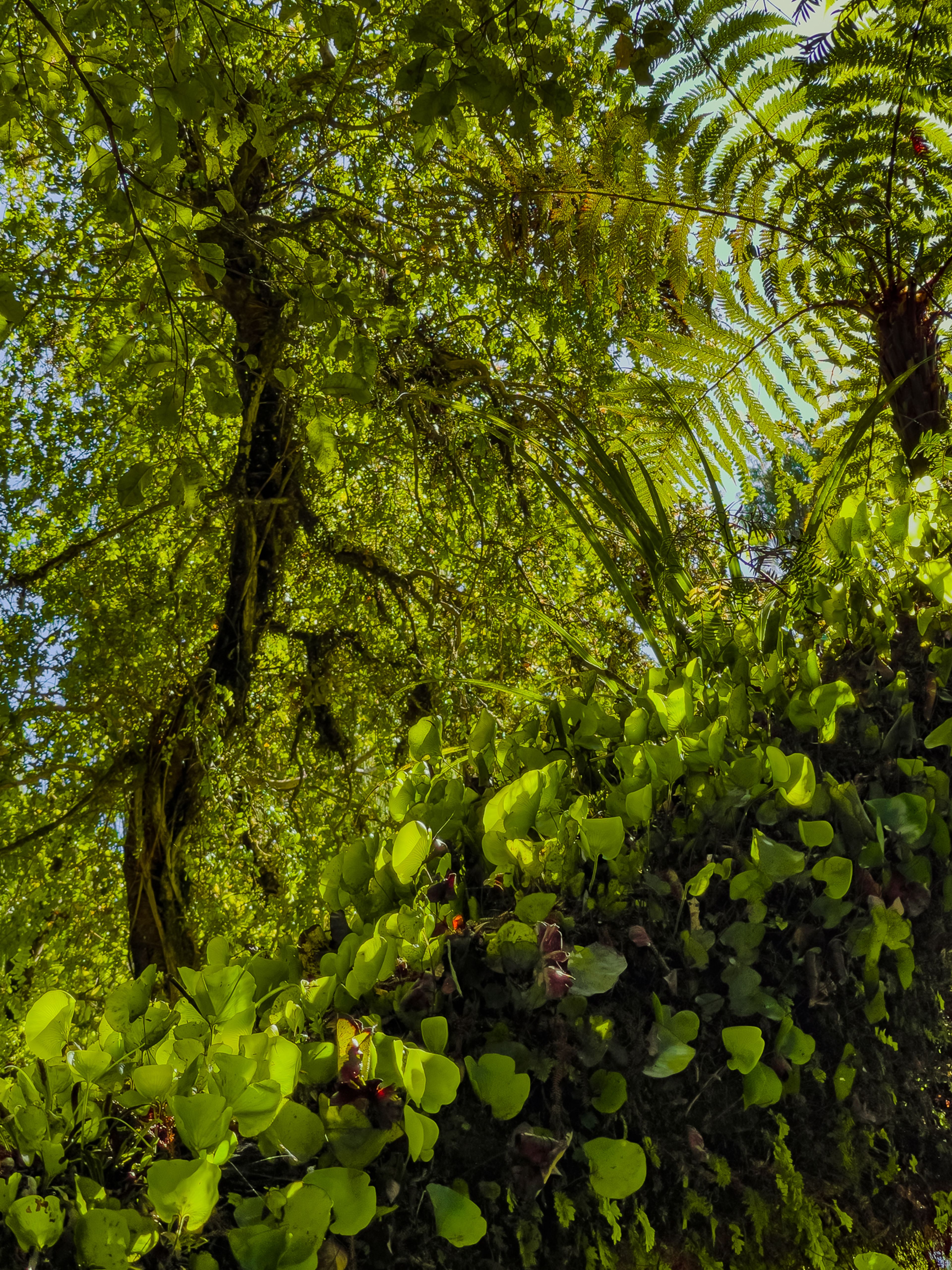 Image 9 of 10