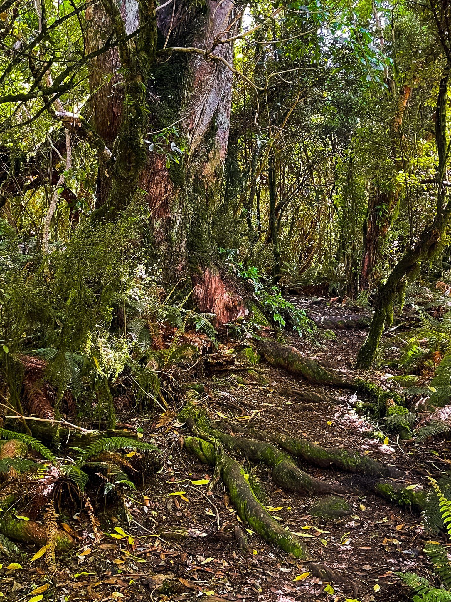 Image 9 of 11